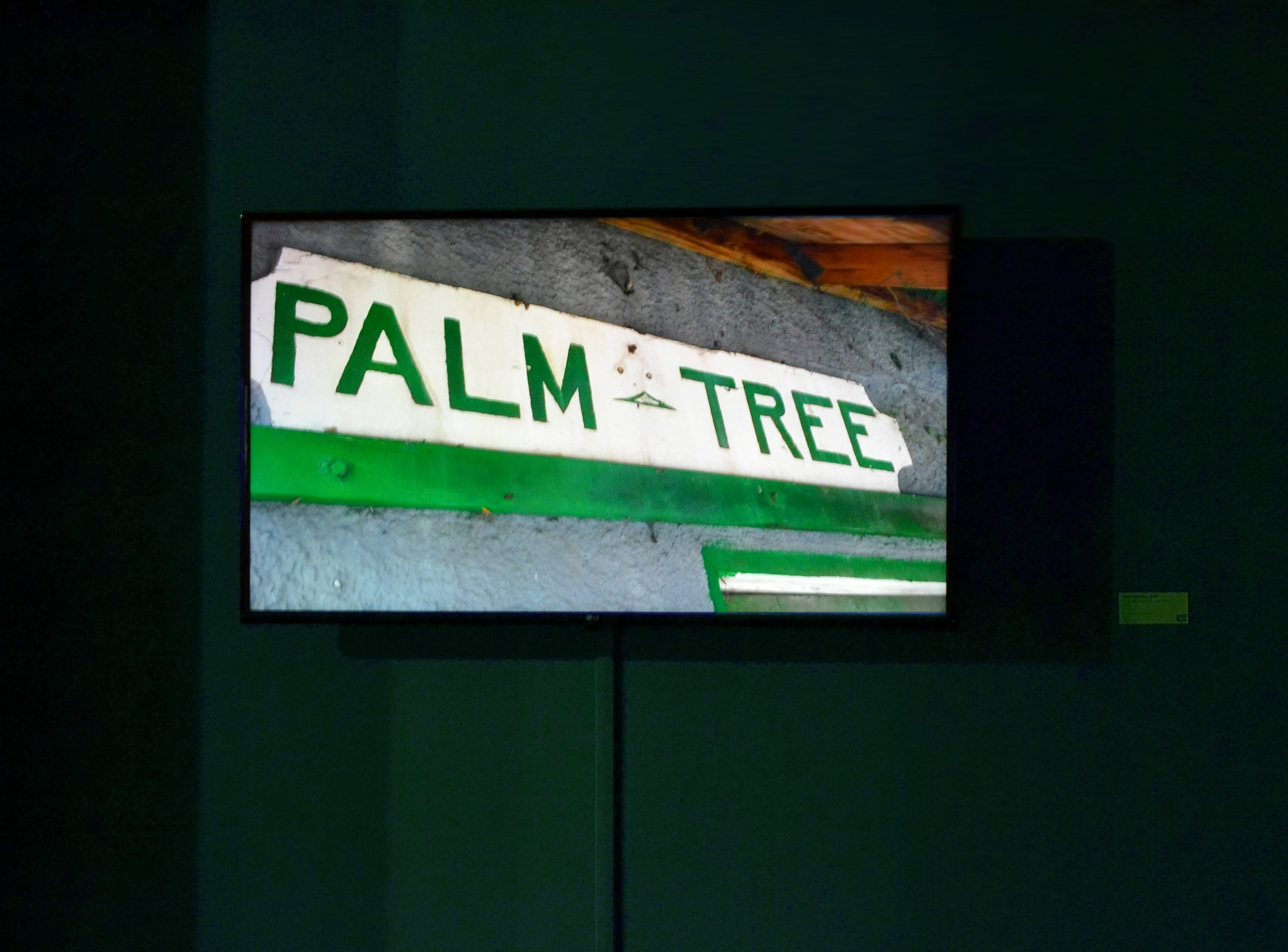 Da Pointe to Bain Town , 2018. Jodi Minnis and Dr Ian Bethell-Bennett. Video. 15mins. Image courtesy of the artist.