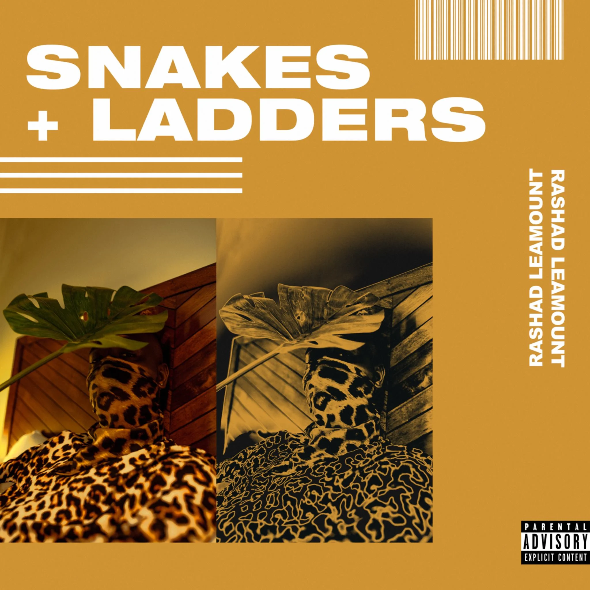 ‘Snakes + Ladders’ cover artwork created by Fonte Designs. Image courtesy of artist Rashad Leamount.