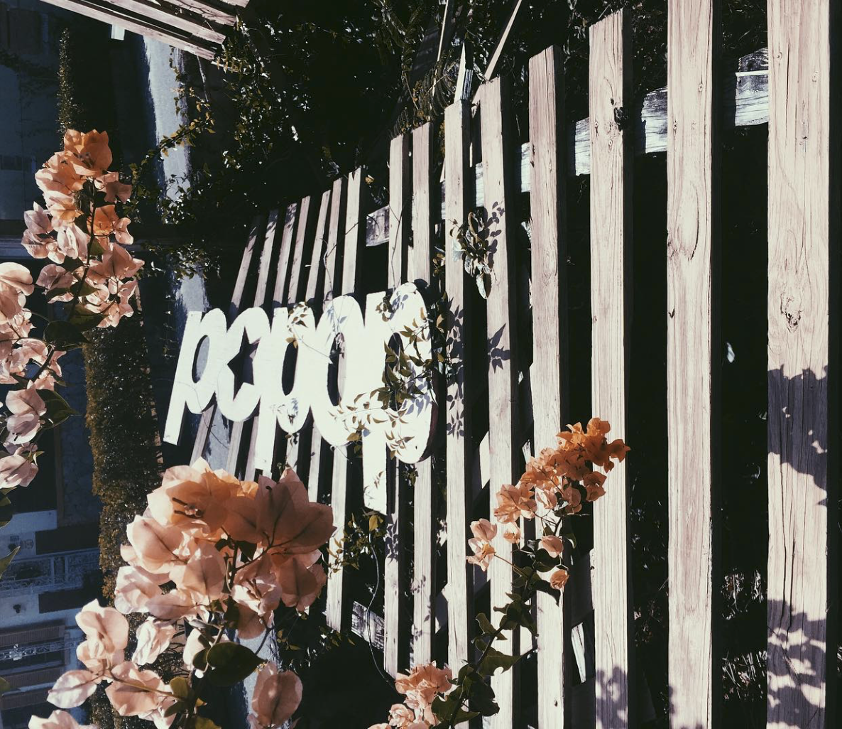 Image captured by The Current Curatorial Manager and POPOP FOREVER Curator Angelika Wallace-Whitfield