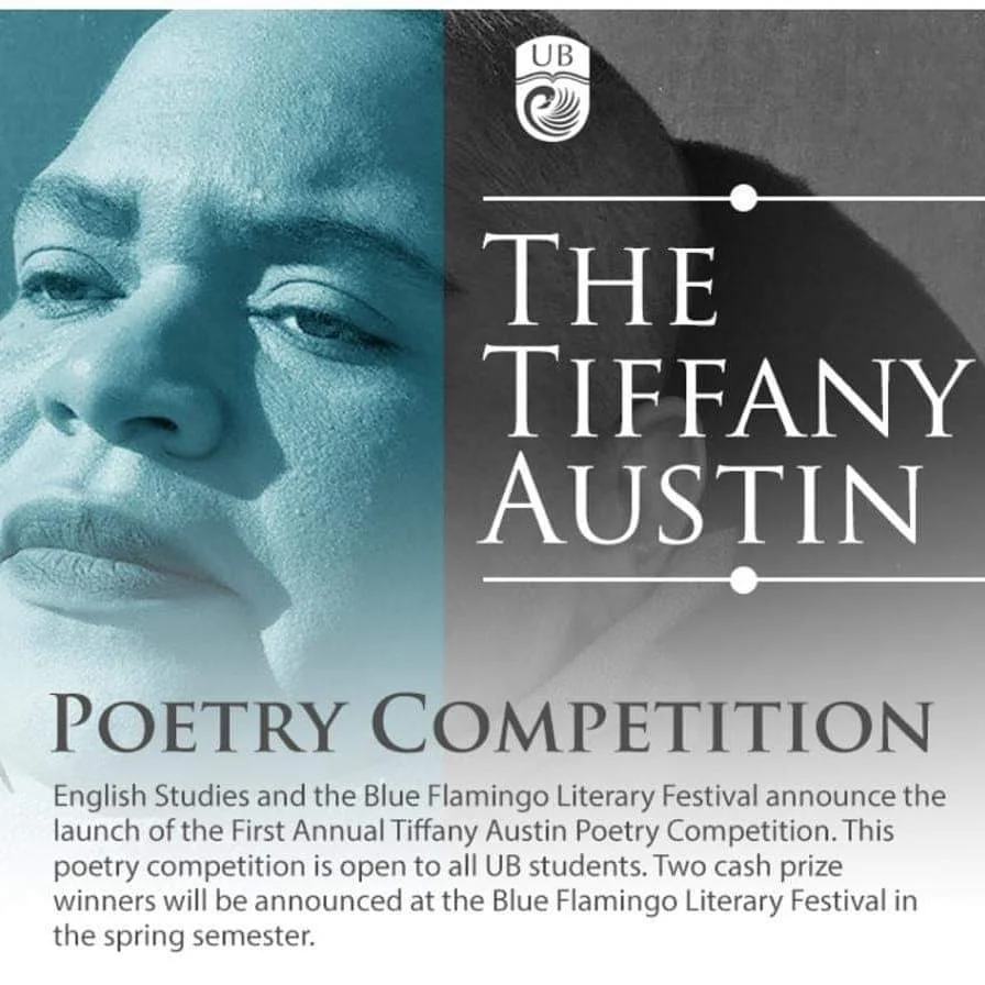 Promotional flyer used for the competition.