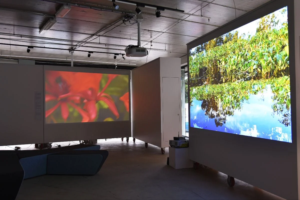 Deborah Jack, The water between us remembers, 2016 and Luis Vasquez La Roche, Espacios Imaginarios, 2016.