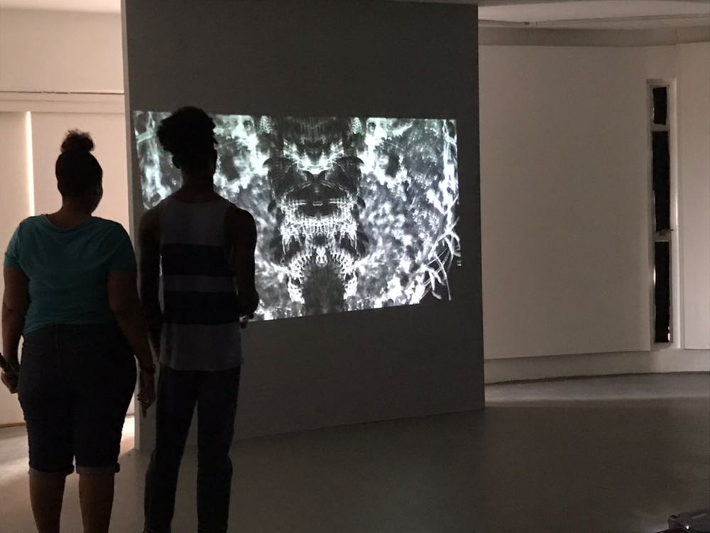 David Gumbs, Blossoms, 2016. Photo by Natalie Batson.