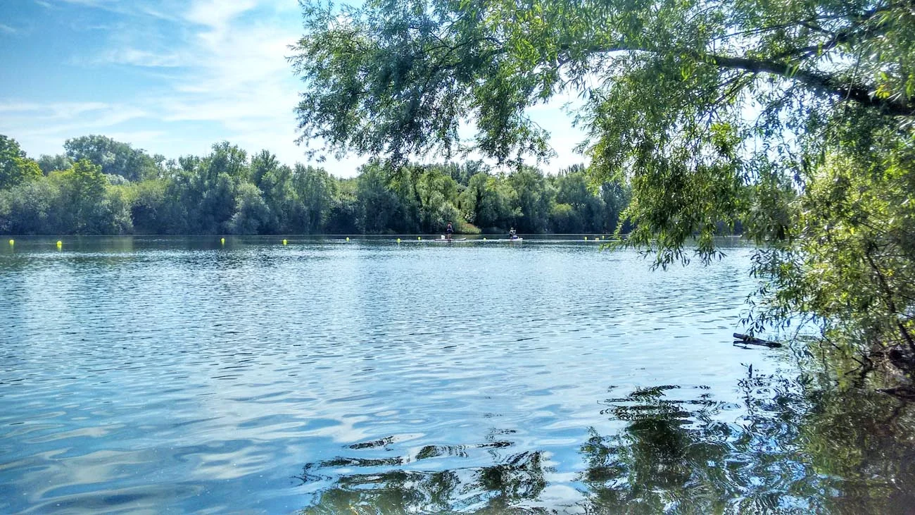 ParkLake_Aug2015 copy.jpg