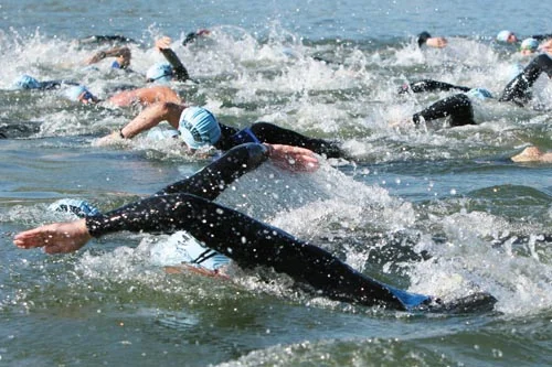 EliteSwimmingWebCrop.jpg