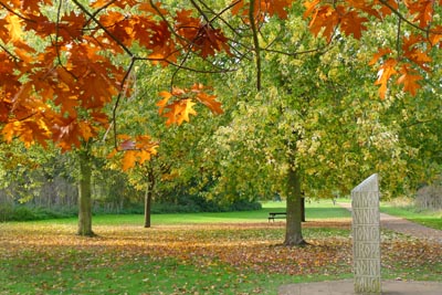 autumn