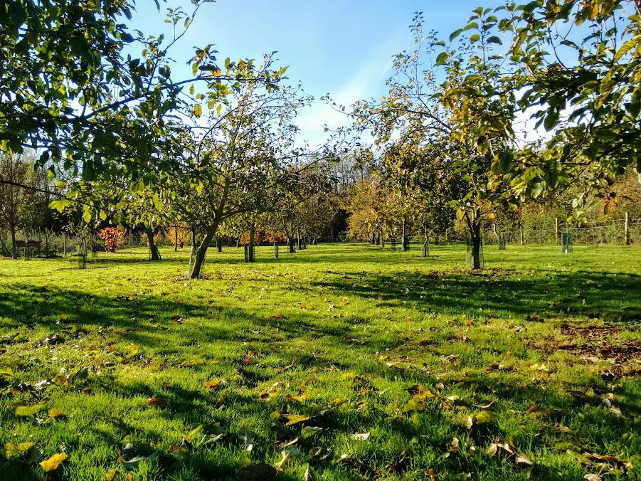 Orchard November 2016 Wellness.jpg