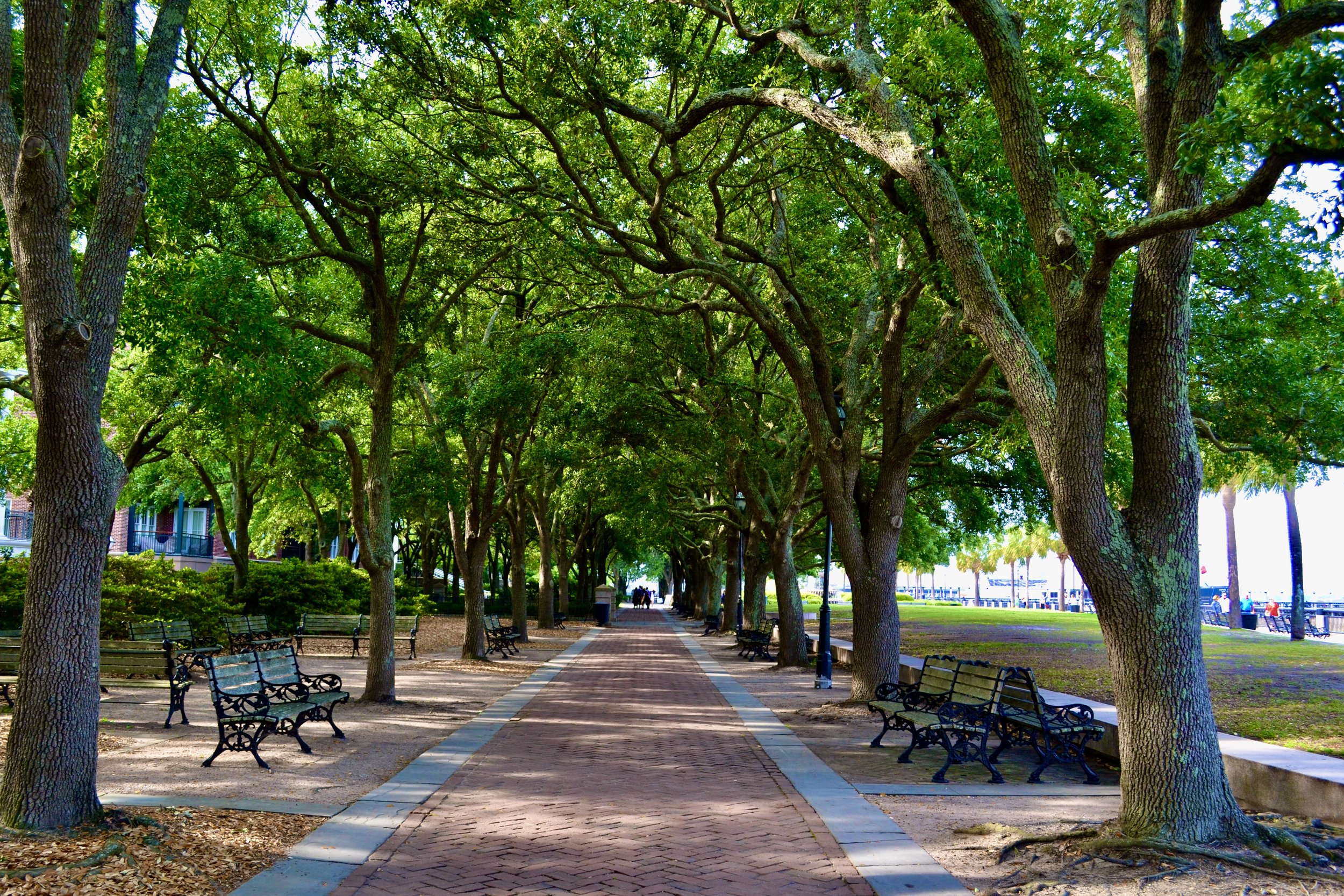 Charleston park (credit- Allyson Portee).JPG