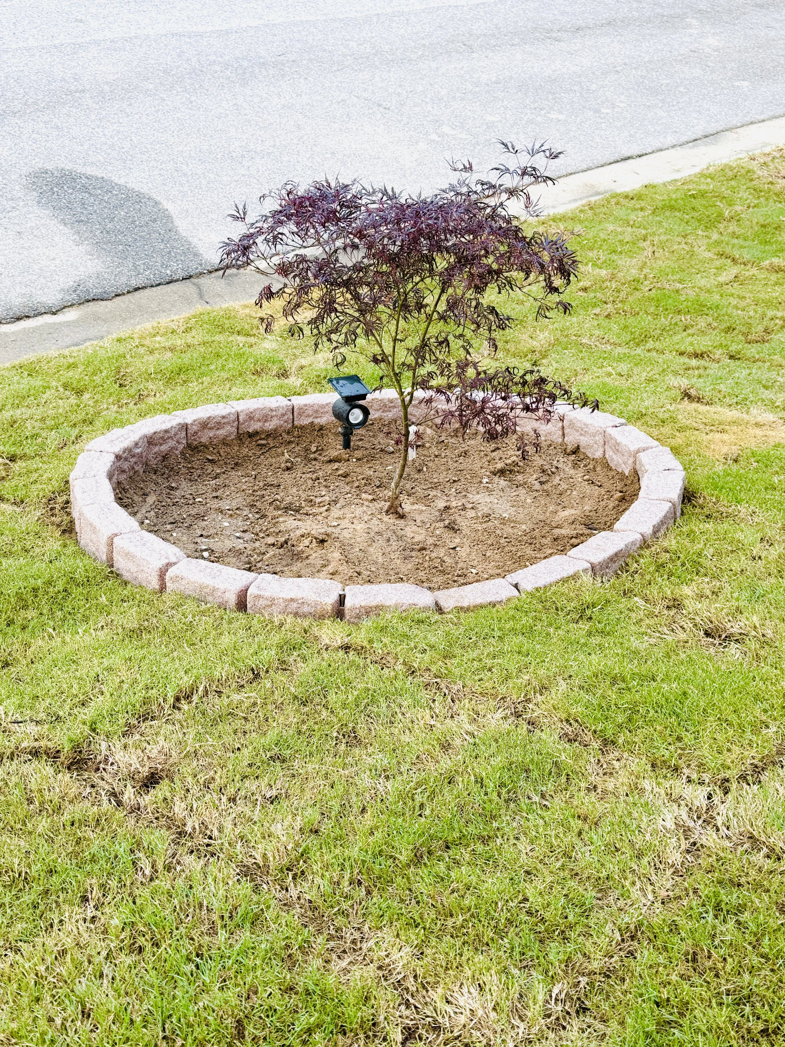top-5-gardening-tools-that-will-make-your-life-easier-this-summer-seele-magazine-allyson-portee-beuta 3.JPG