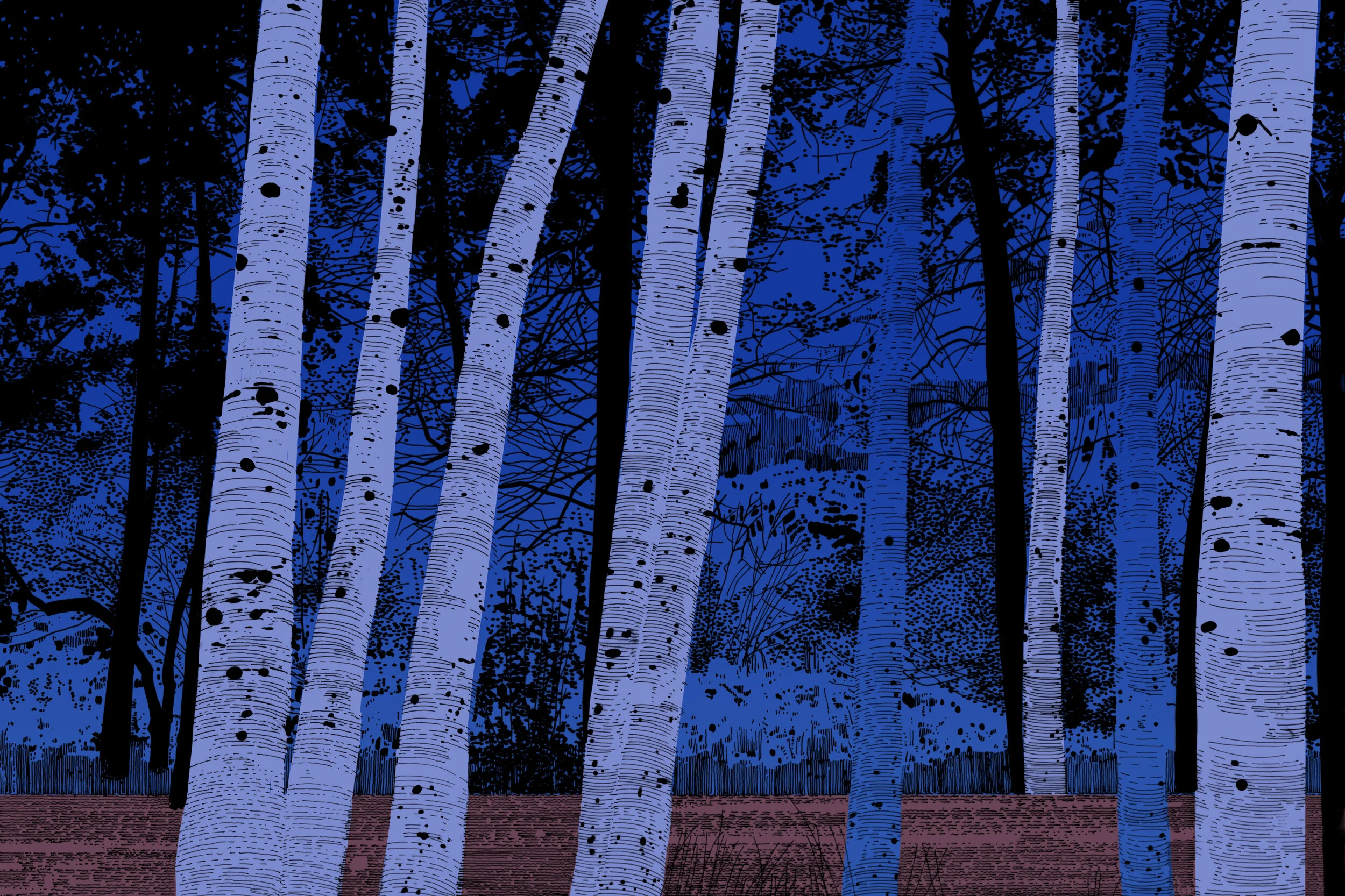 website banner.jpg
