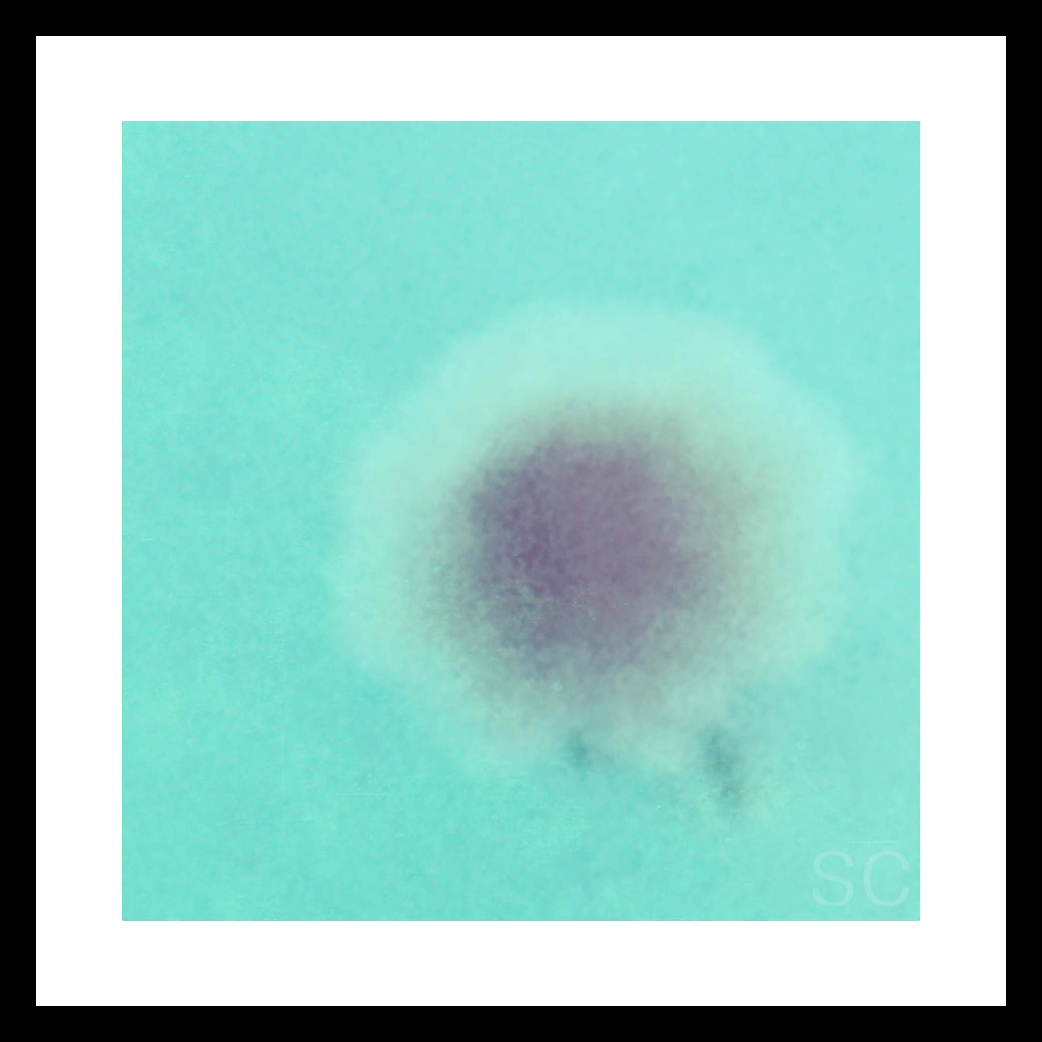 Alizarin - a sophisticated, slightly mysterious crimson pigment M+F.jpg
