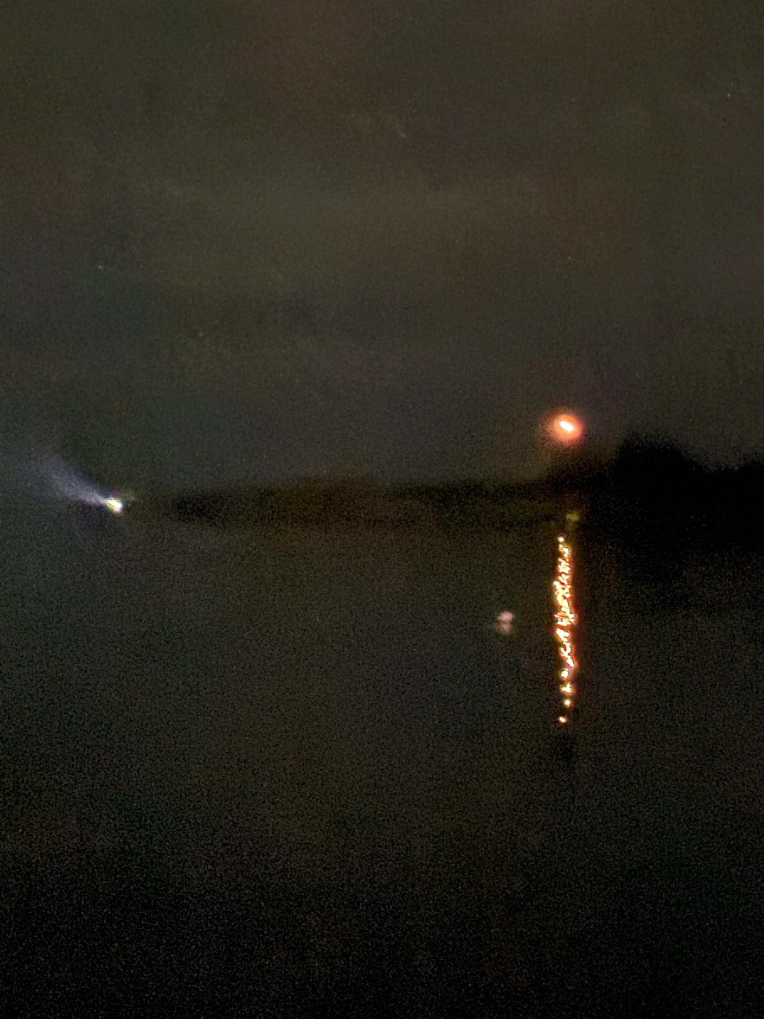 IMG_3203.jpeg