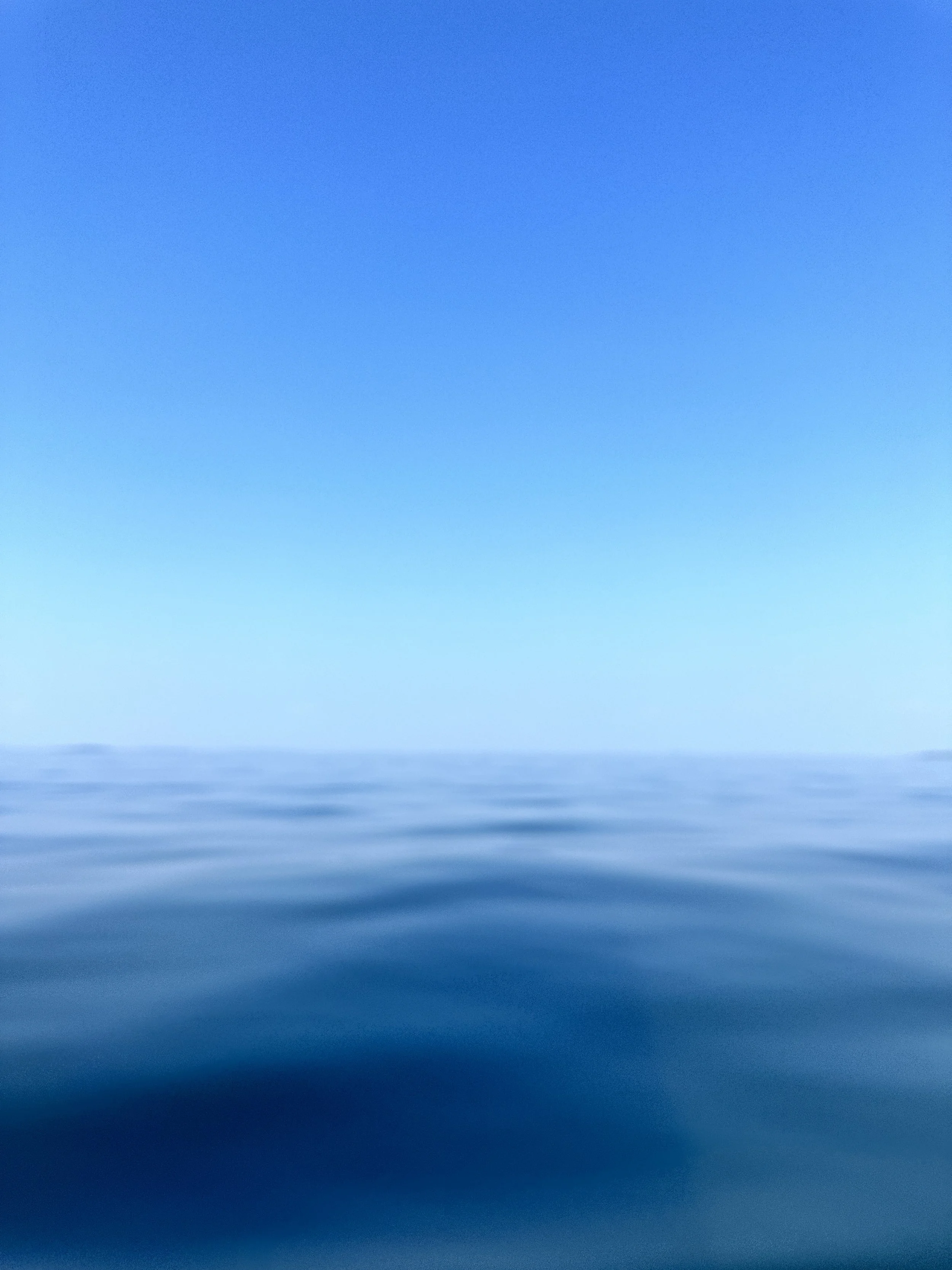 IMG_4903.jpeg