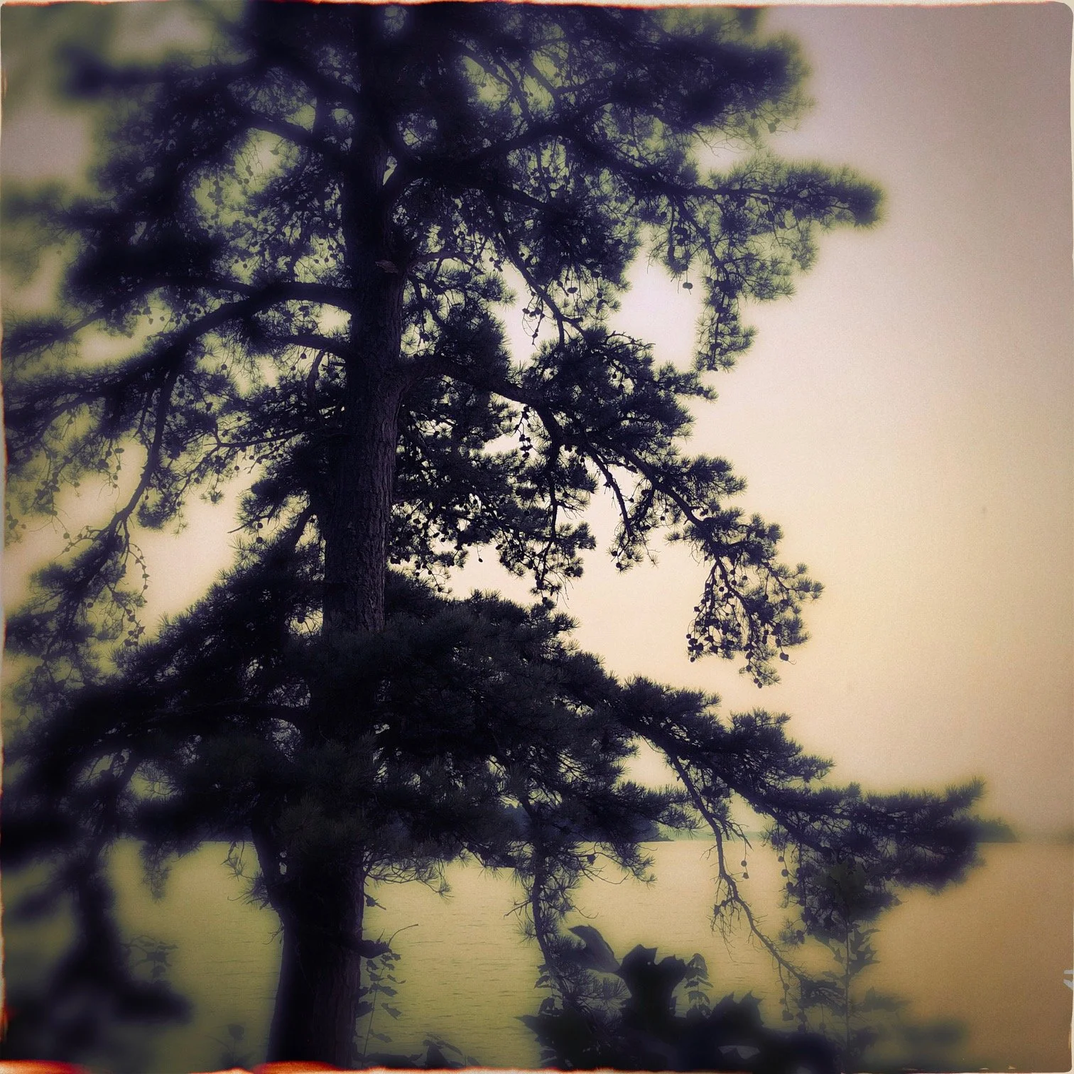 HipstamaticPhoto-556846631.587561.JPG