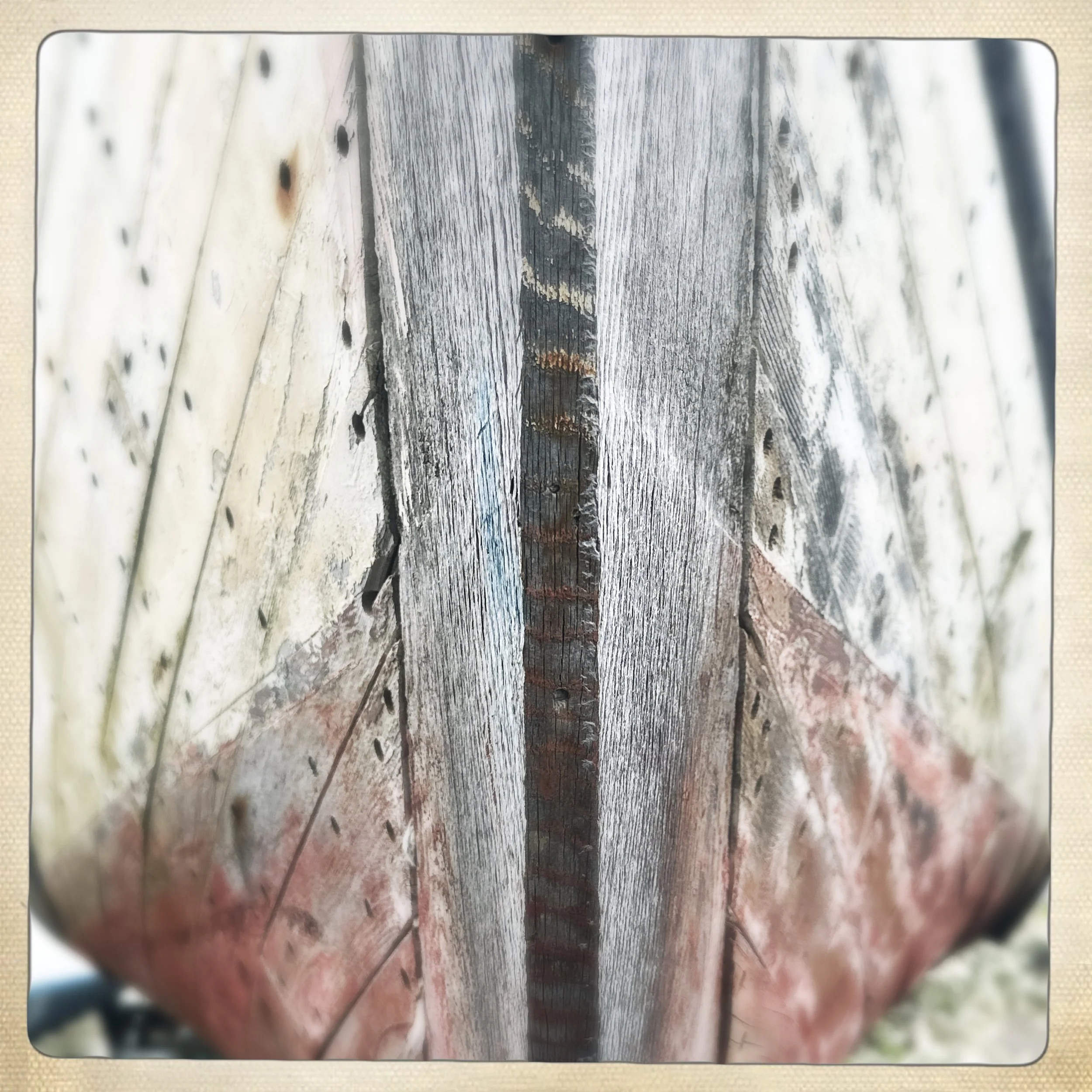 HipstamaticPhoto-769816983.613944.jpeg