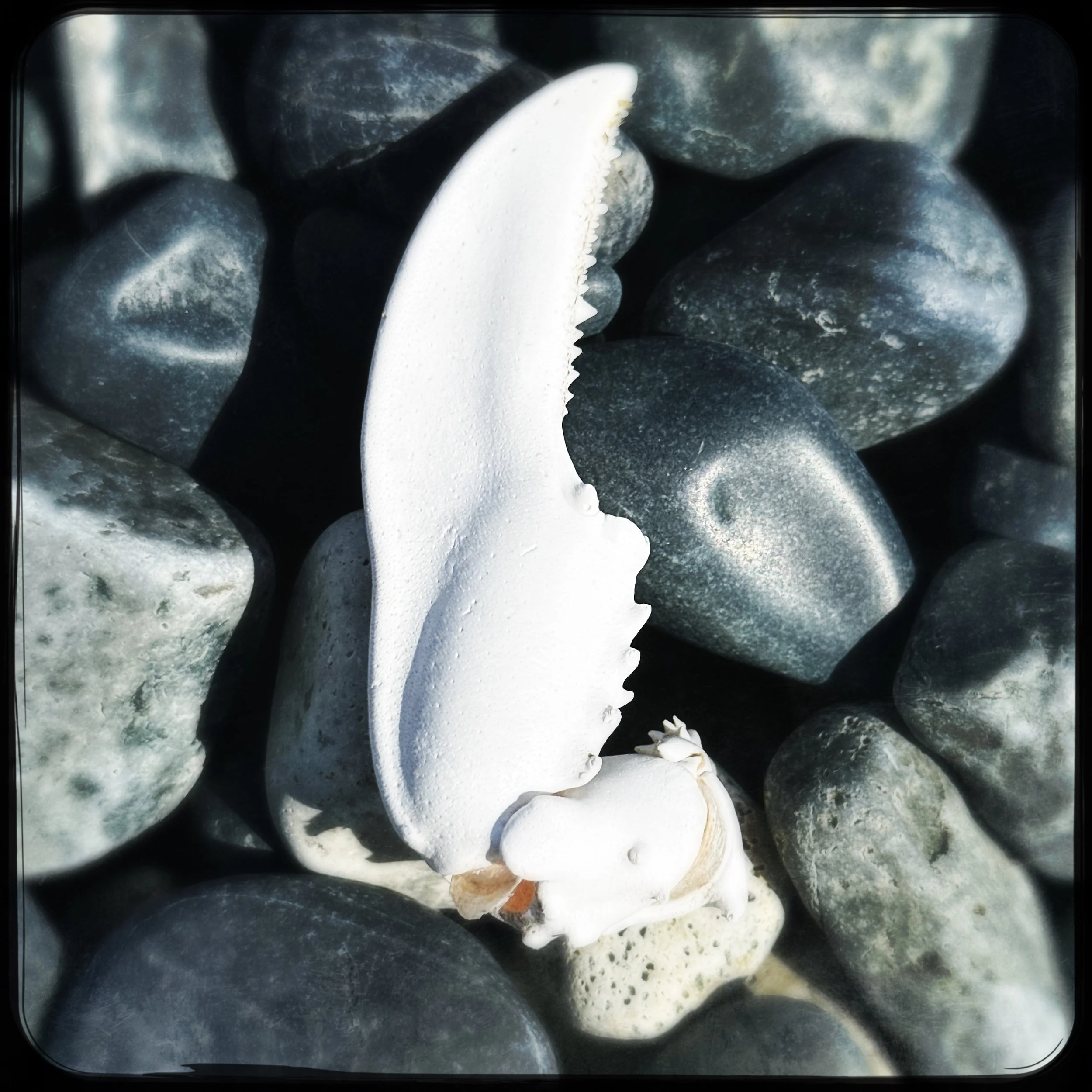 HipstamaticPhoto-778012665.382183.jpeg