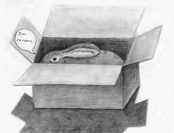 There was a brief moment when I wanted to make cartoons about getting a pet rabbit. I didn't really follow through with it but the few i made were fun. This one is about how I brought her home from the shelter in a cardboard box. 