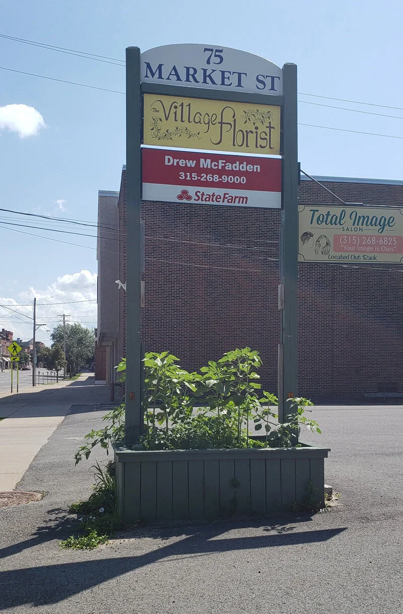 20200808_144348.jpg