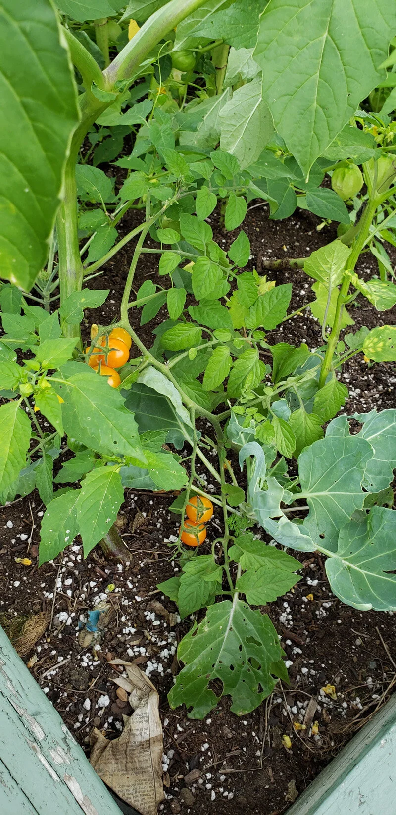 20200902_172917.jpg