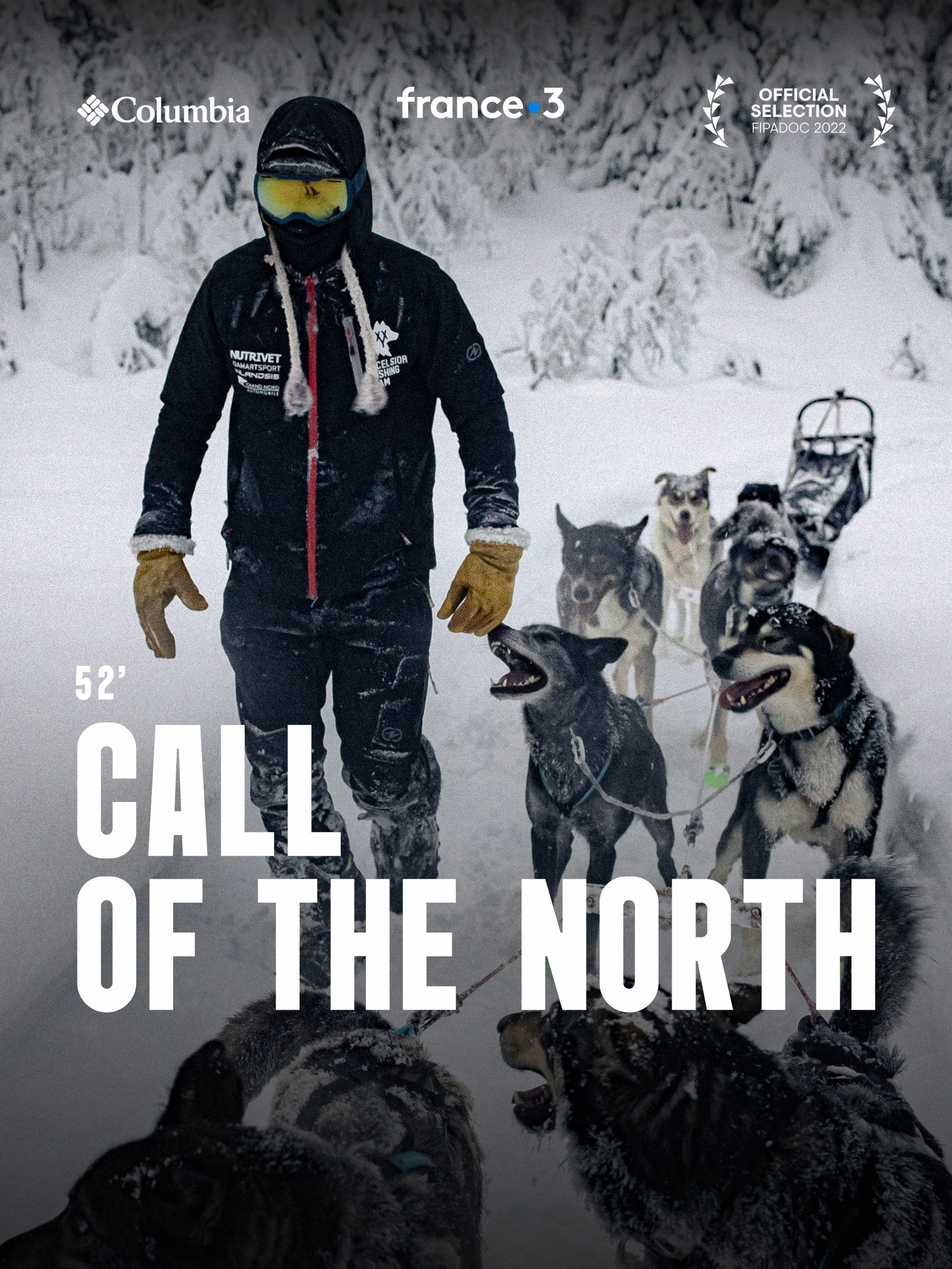 musher in Norway on his sled dog with huskies