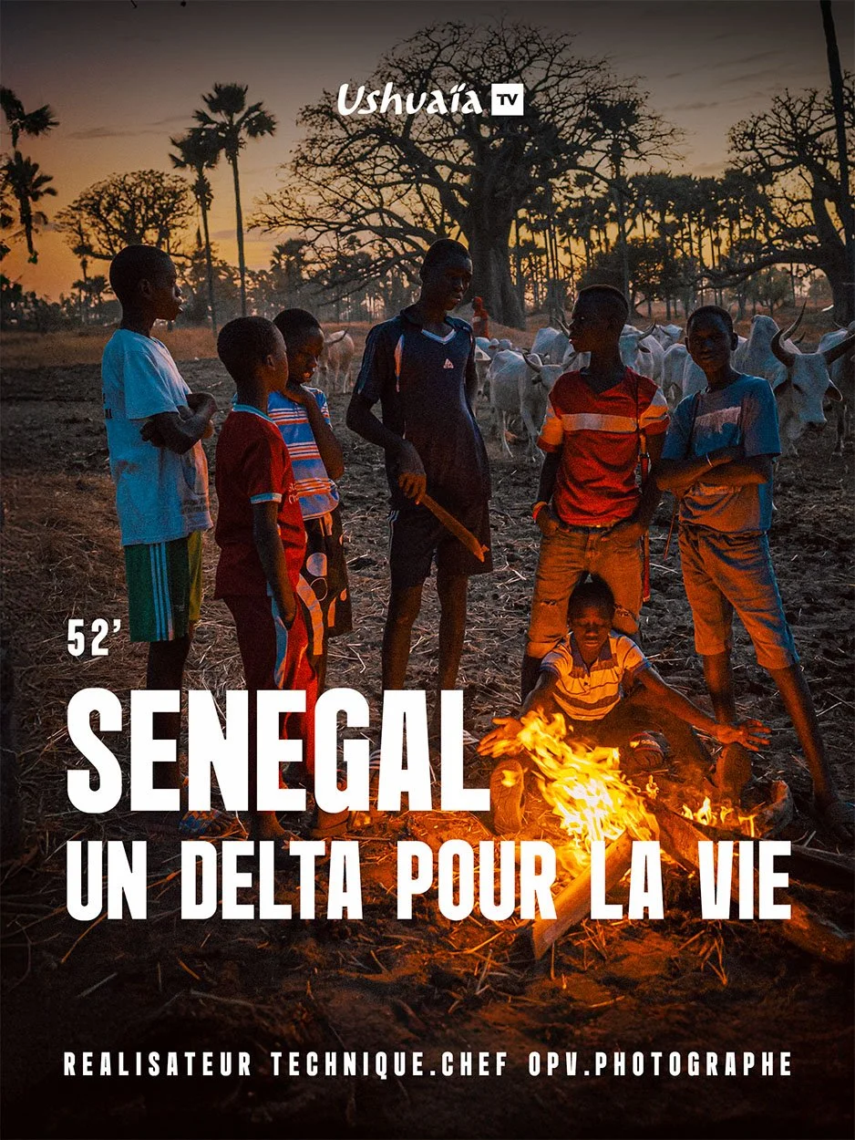 Groupe d'enfants dans une zone rurale au coucher du soleil, certains assis autour d'un feu de camp, avec des bœufs en arrière-plan, pour un documentaire sur le delta du Sénégal.