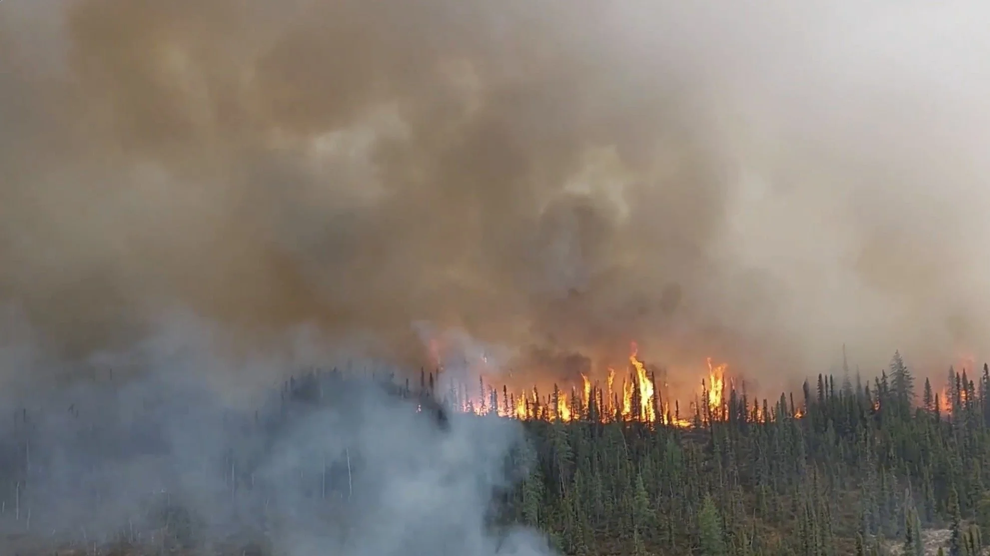 Un feu de forêt avec des flammes et beaucoup de fumée dans le ciel, entouré d'arbres.