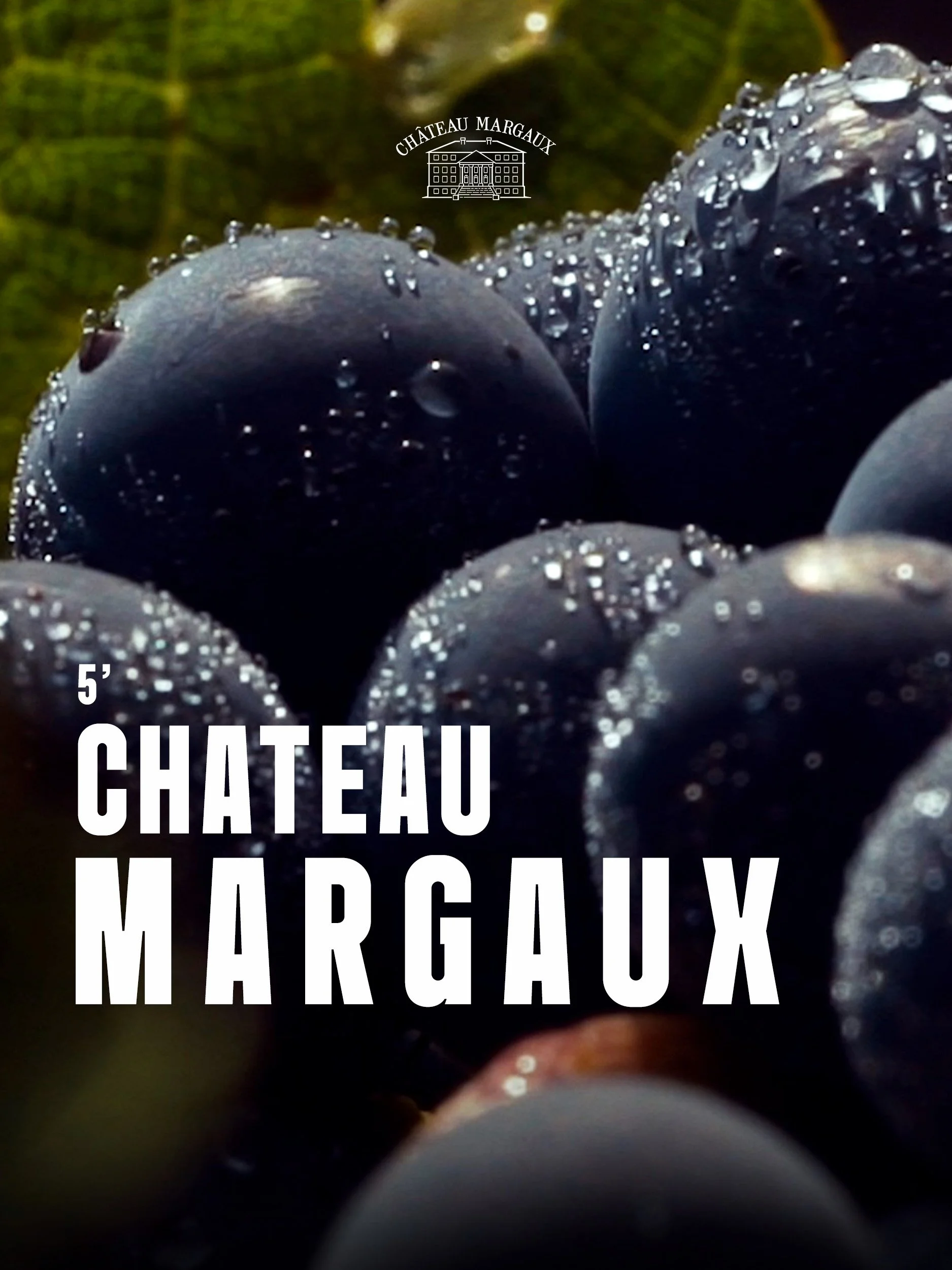 Documentaire sur le vin chateau Margaux de Bordeaux par David Guersan