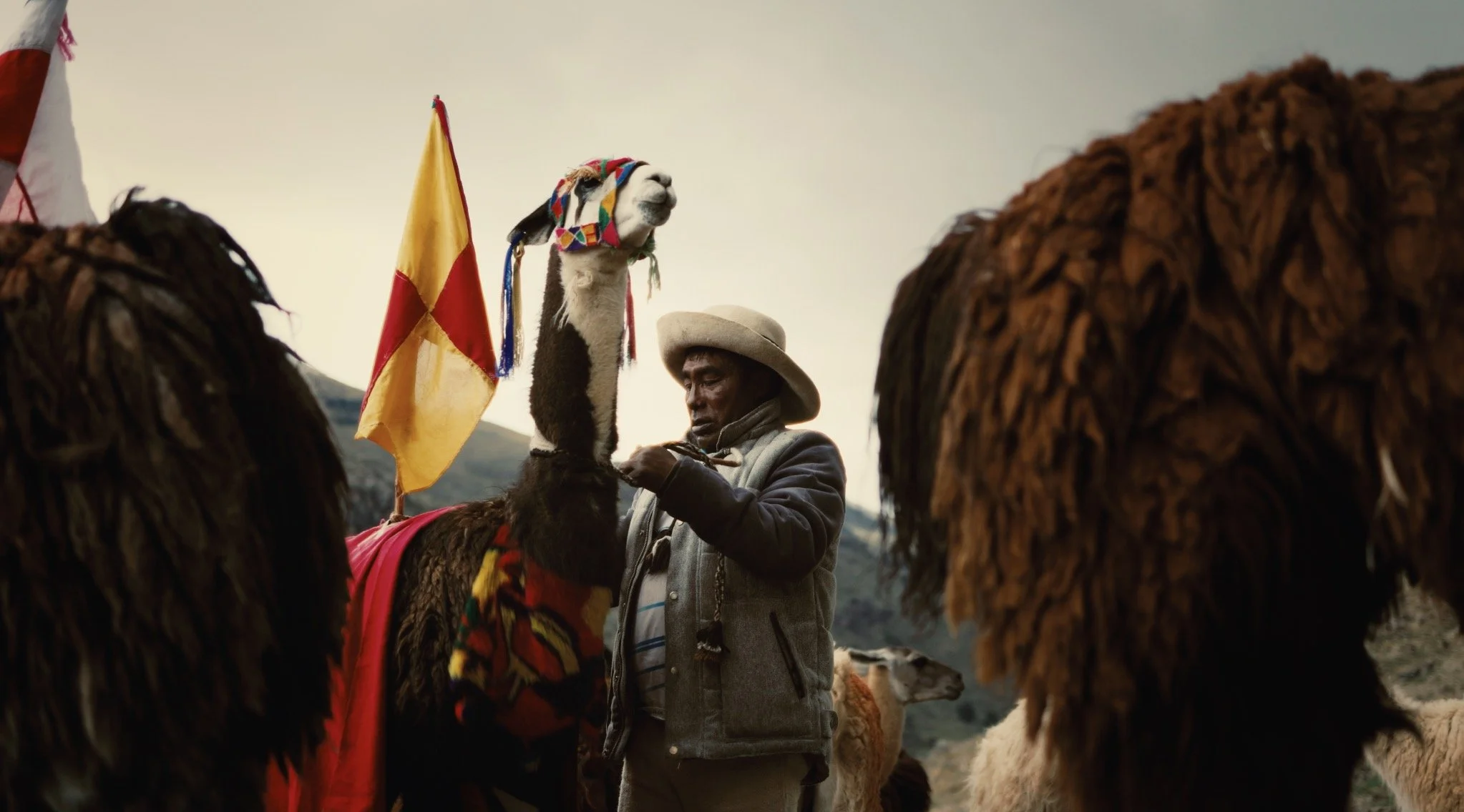 Capture d’écran 2025-12-20 à 18.31.27.jpg