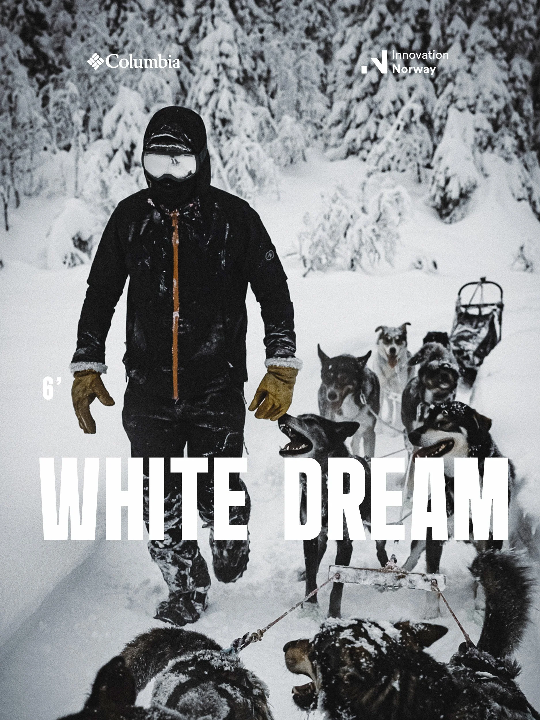 un musher pret avec ces chiens de traineau en Norvege