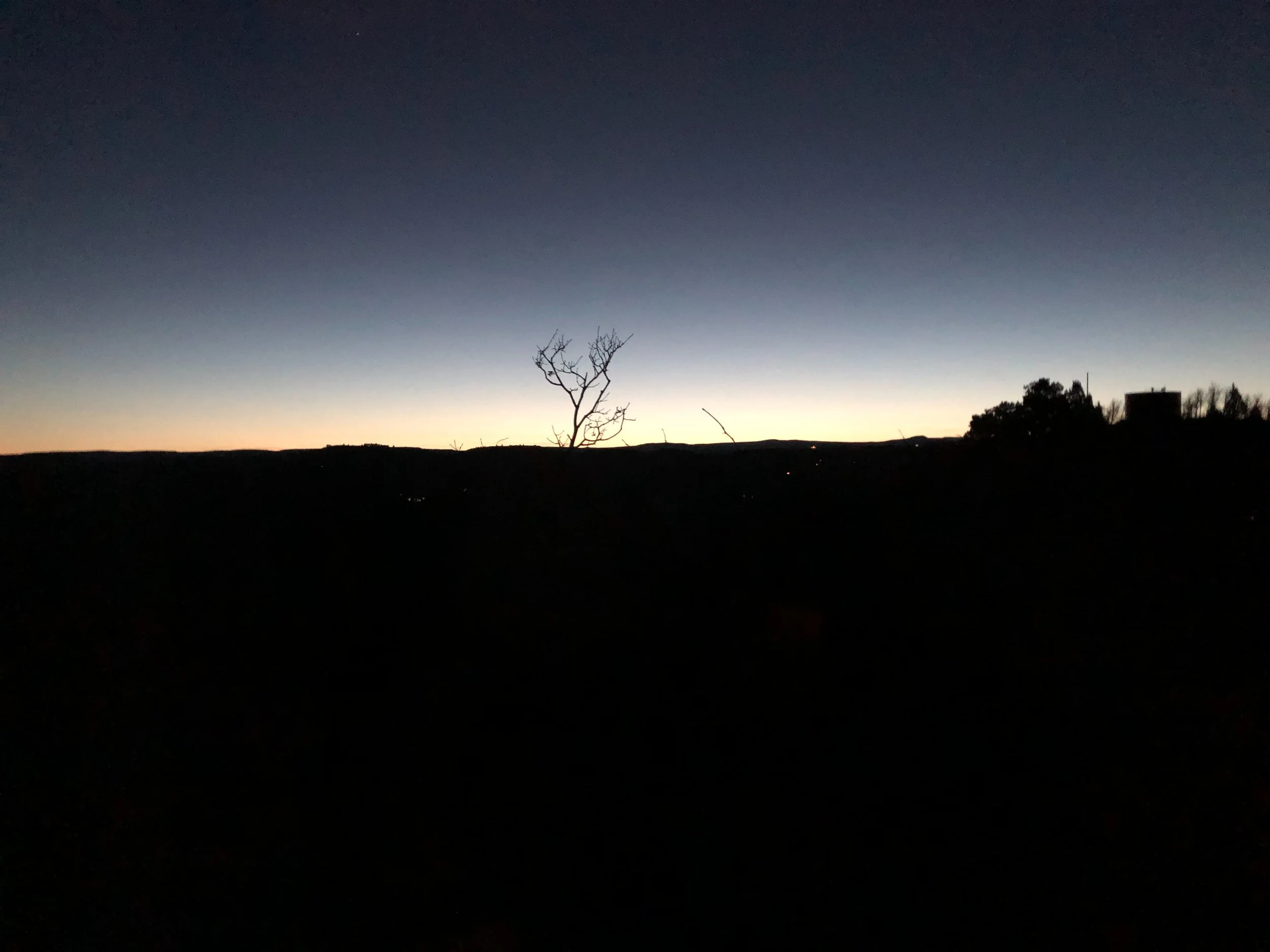 Cultivate Cohort Reflections #3