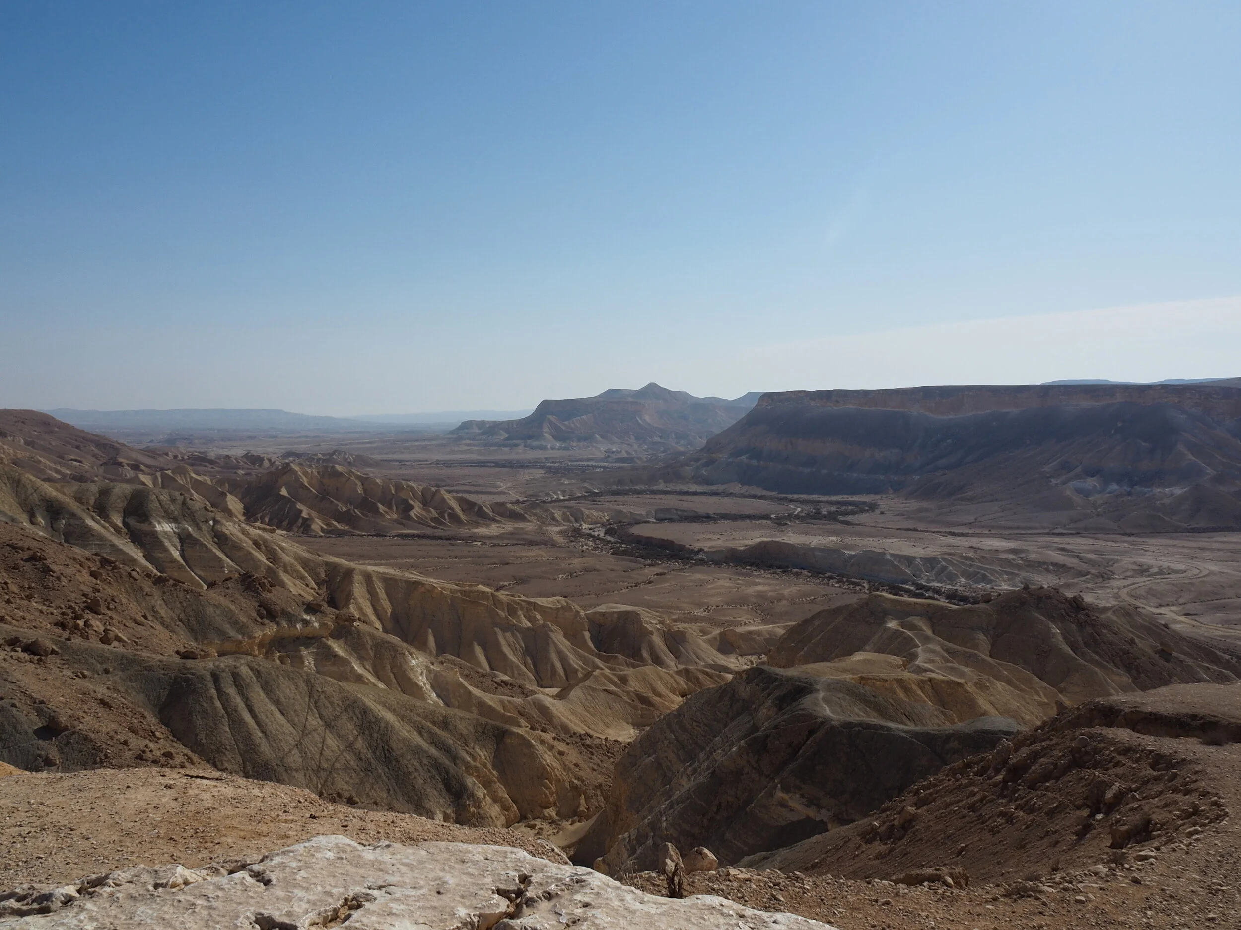 Walking Through the Midbar