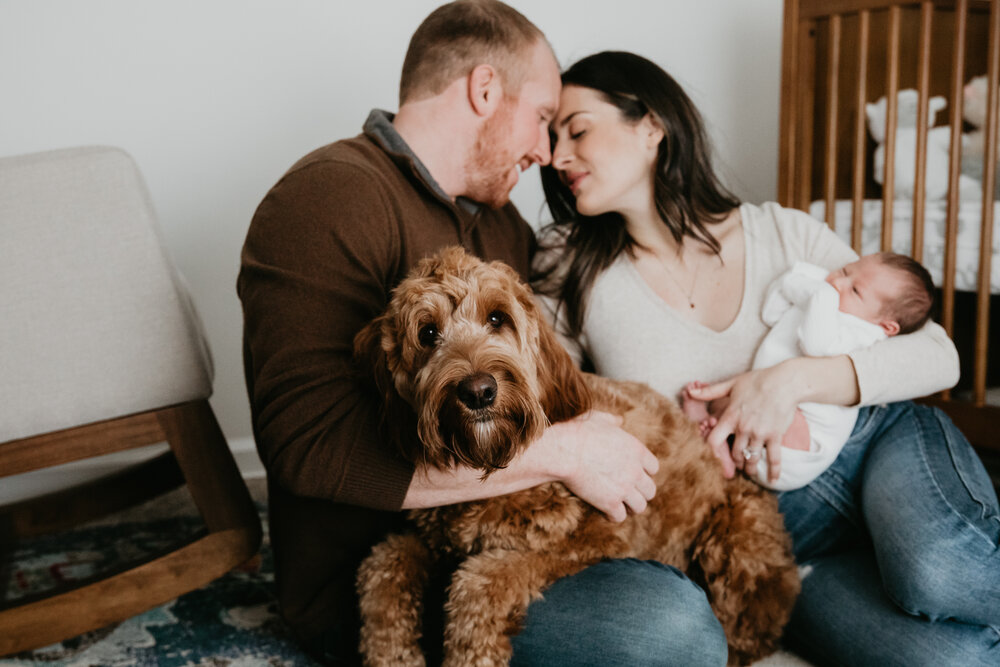 Newborn in home Buffalo family-1037.jpg