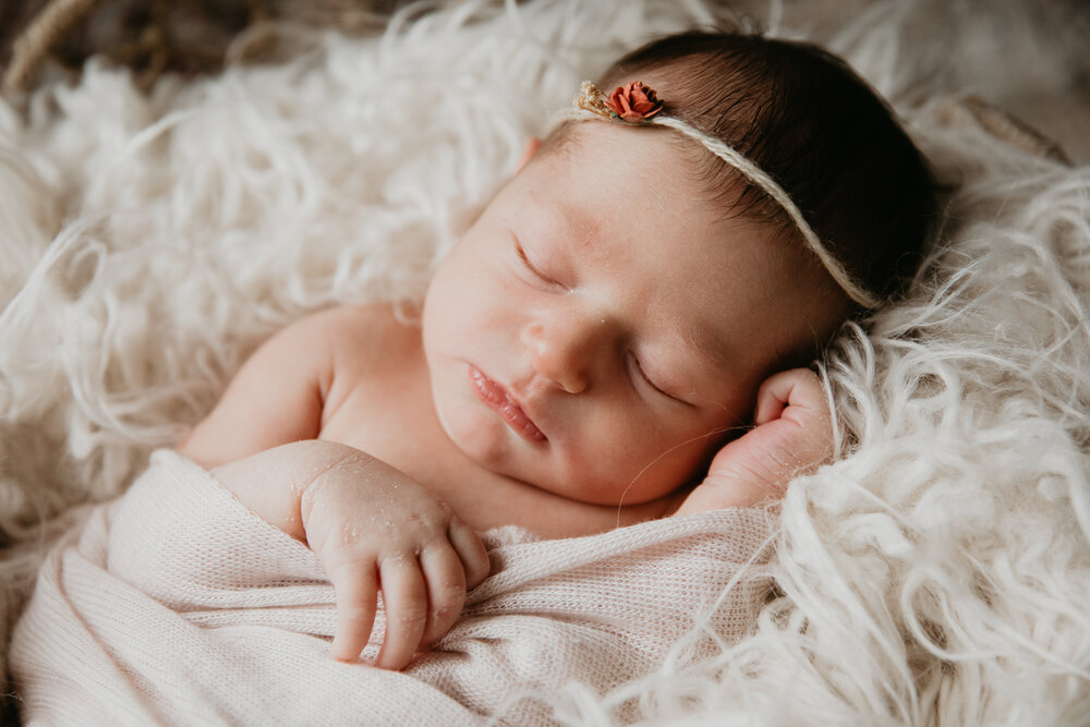 Newborn in home Buffalo family-1044.jpg