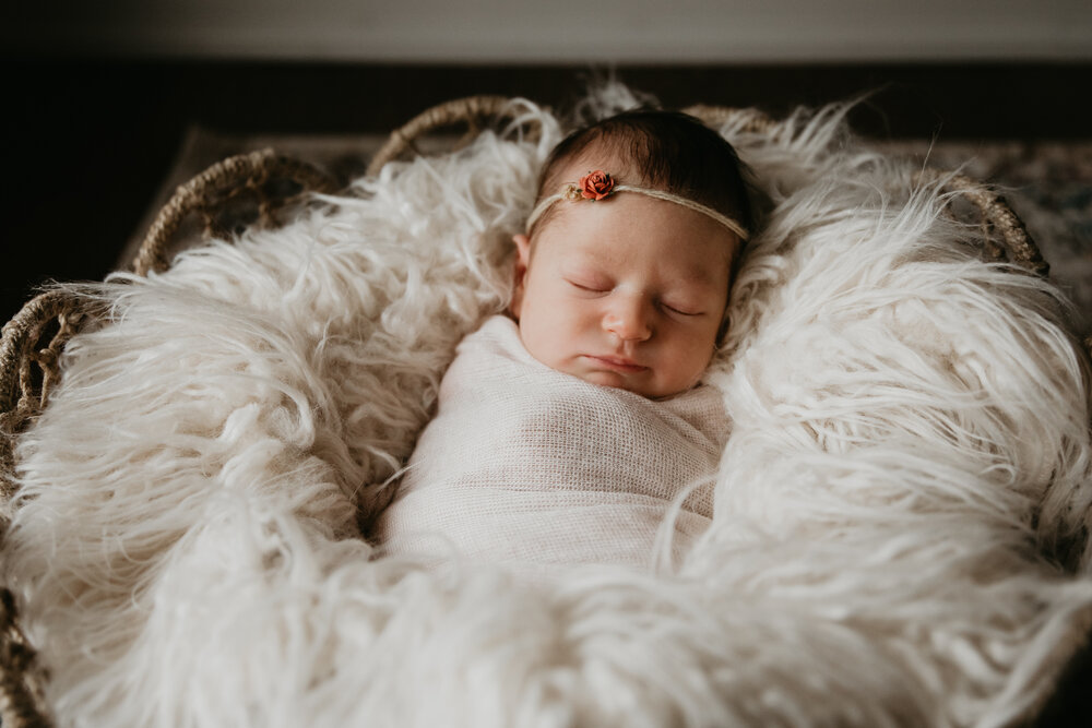 Newborn in home Buffalo family-1049.jpg