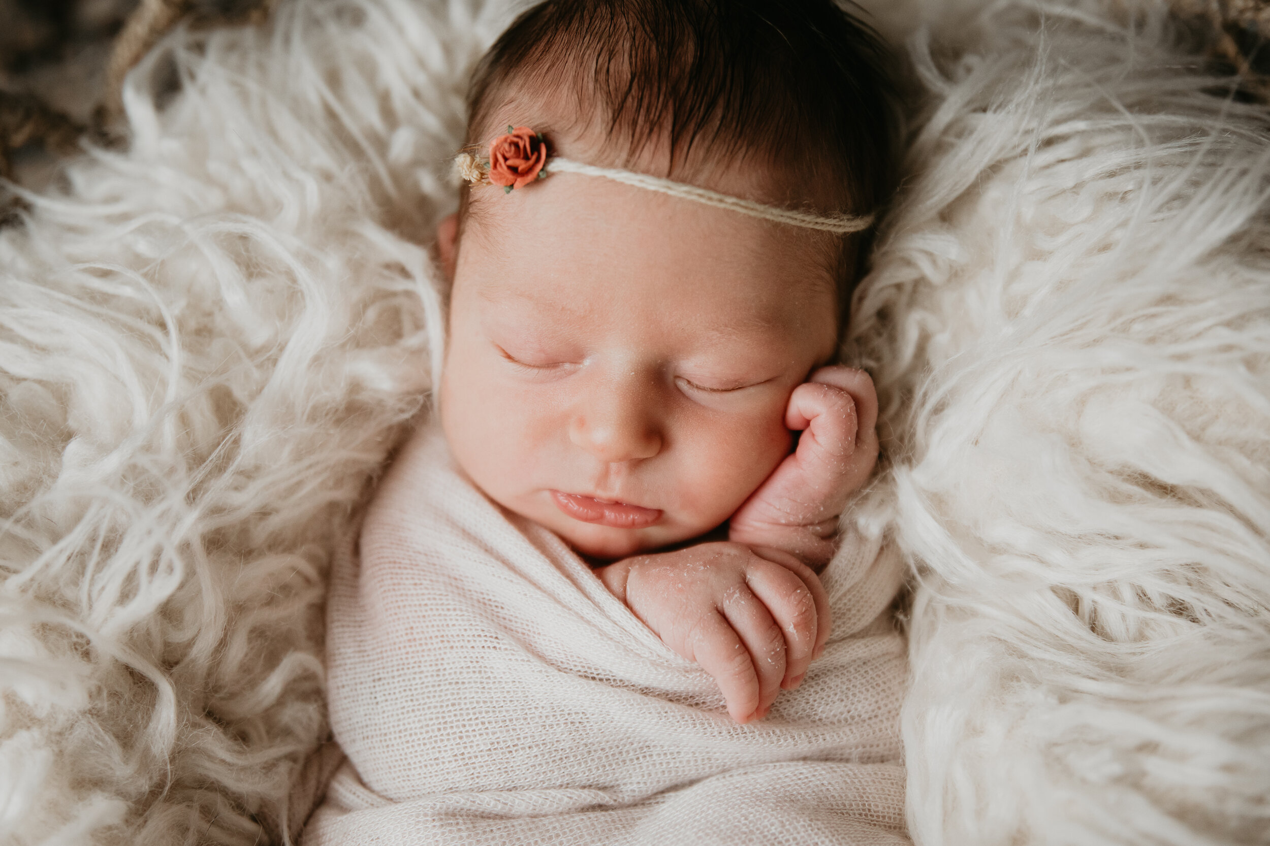 Newborn in home Buffalo family-1052.jpg