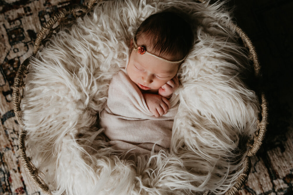 Newborn in home Buffalo family-1057.jpg