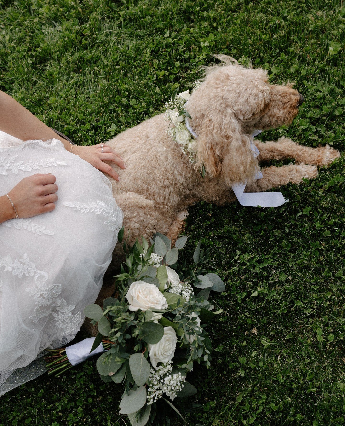 This wasn&rsquo;t a photo we planned.⁠
But it&rsquo;s the one I keep coming back to.⁠
Because love shows up in all kinds of ways &mdash;⁠
sometimes with paws.