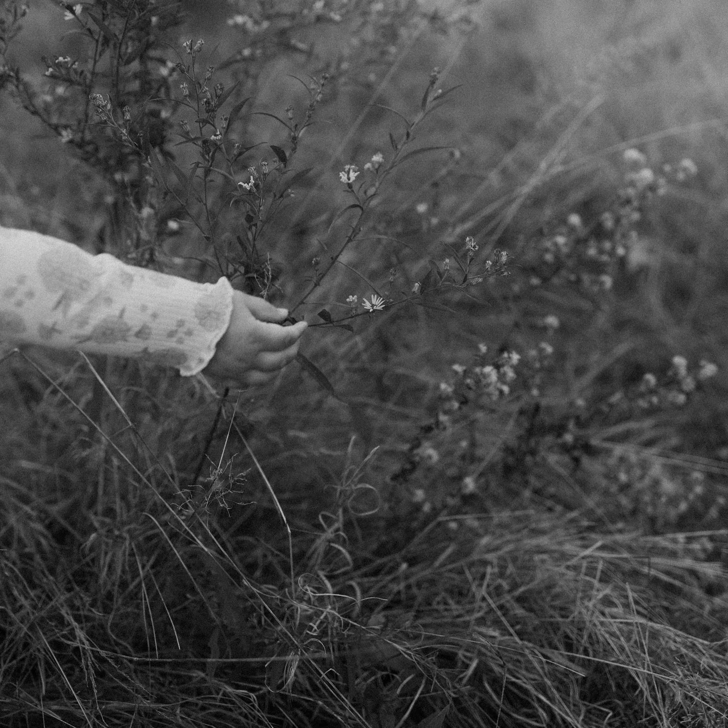 Details. In black and white #storytelling #littlehands #childhood #memories