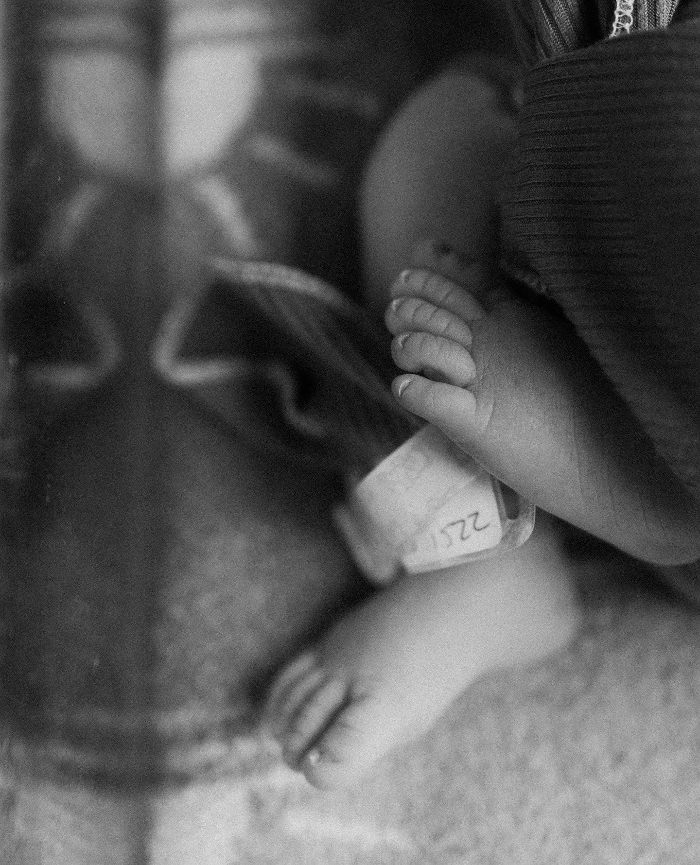 nothing better the a fresh baby for a photoshesh