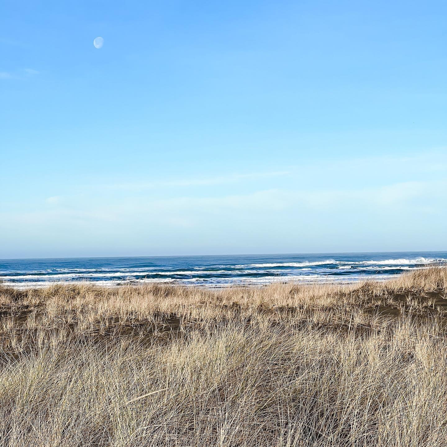 There&rsquo;s just something about ocean waves. I could watch them all day! 
We are booking for summer and there are still some dates available! Snag them while you can! 
.
.
.
#bebythesea #honeybebeachhouse #hostfully
#wacoast #vacationrental #airbn