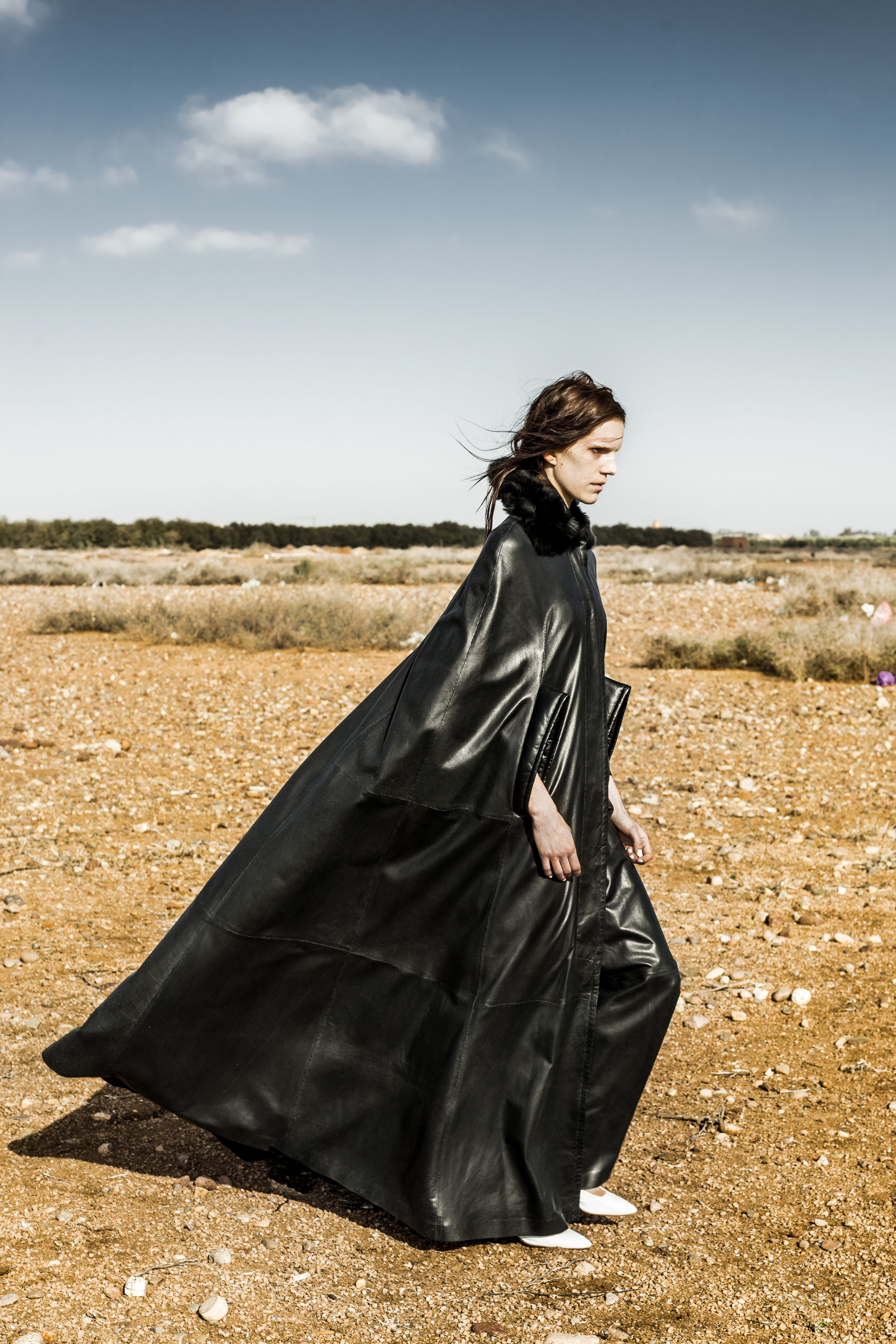 Paul rowland's "anarchy" for cr fashion book