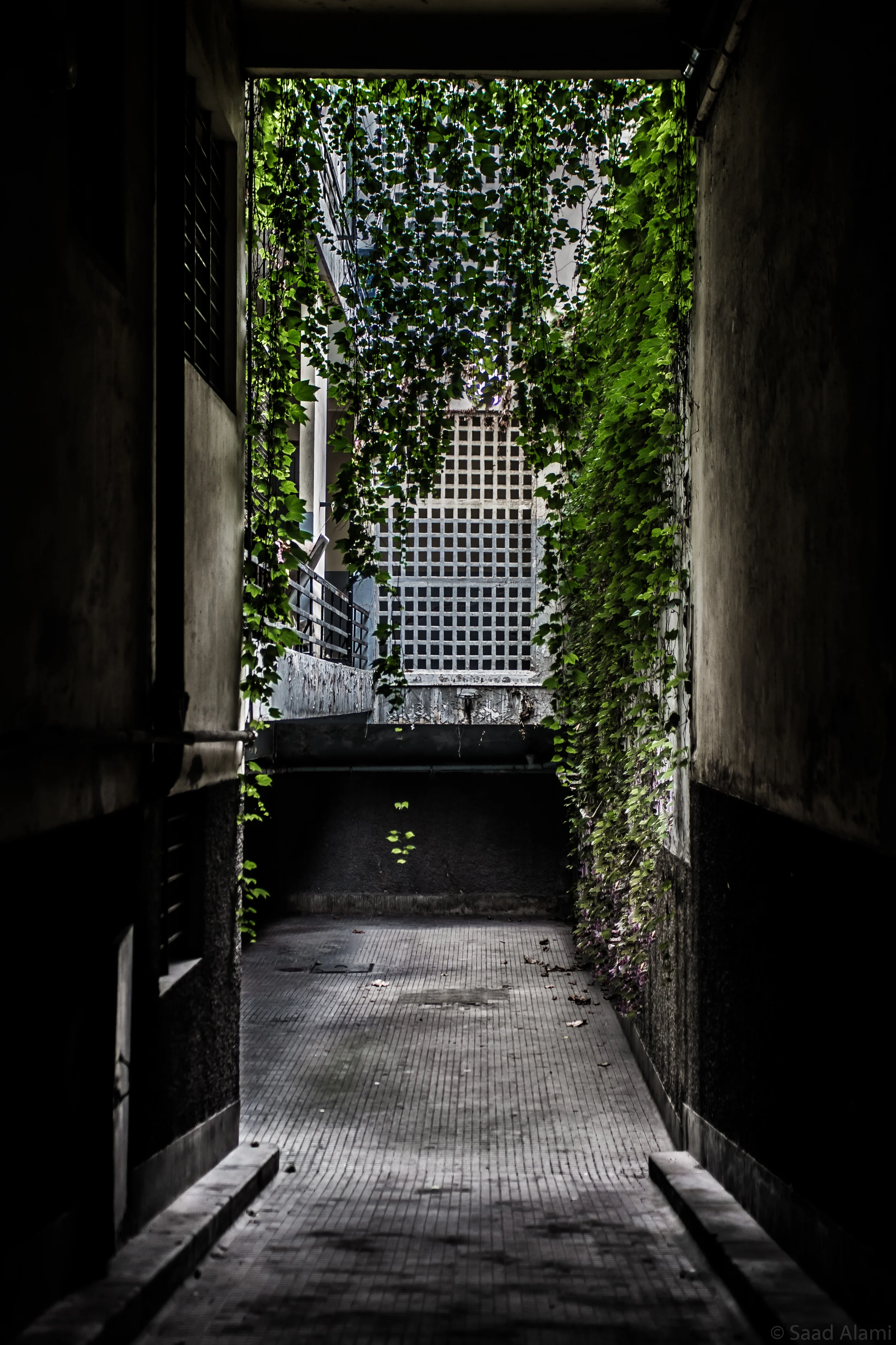 casa abandoned 2-6675.jpg