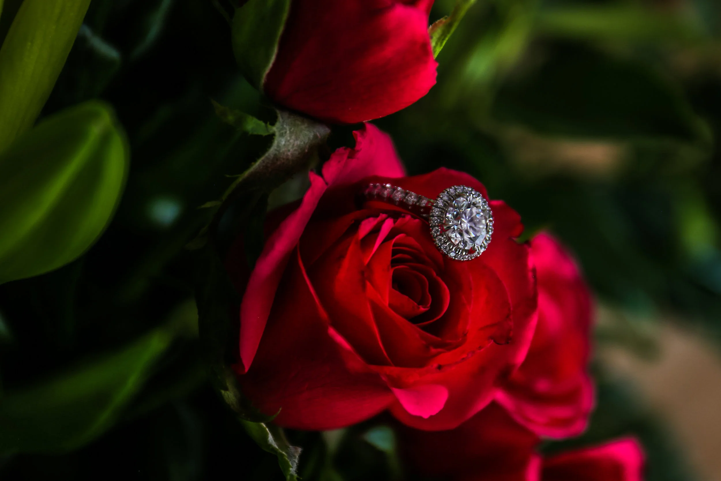 Lebna Stephane 18.jpg