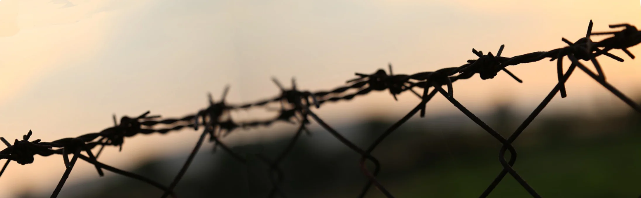 LST image barbed wire.jpg