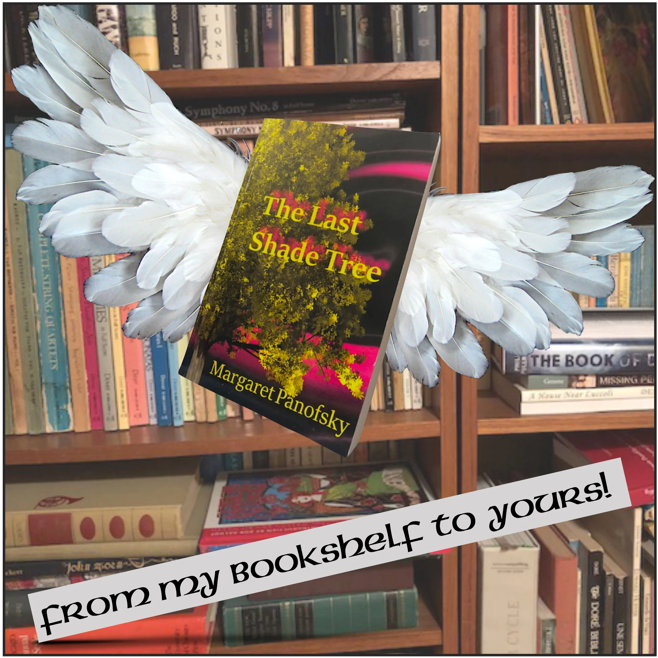 23 meme image flying book.jpg