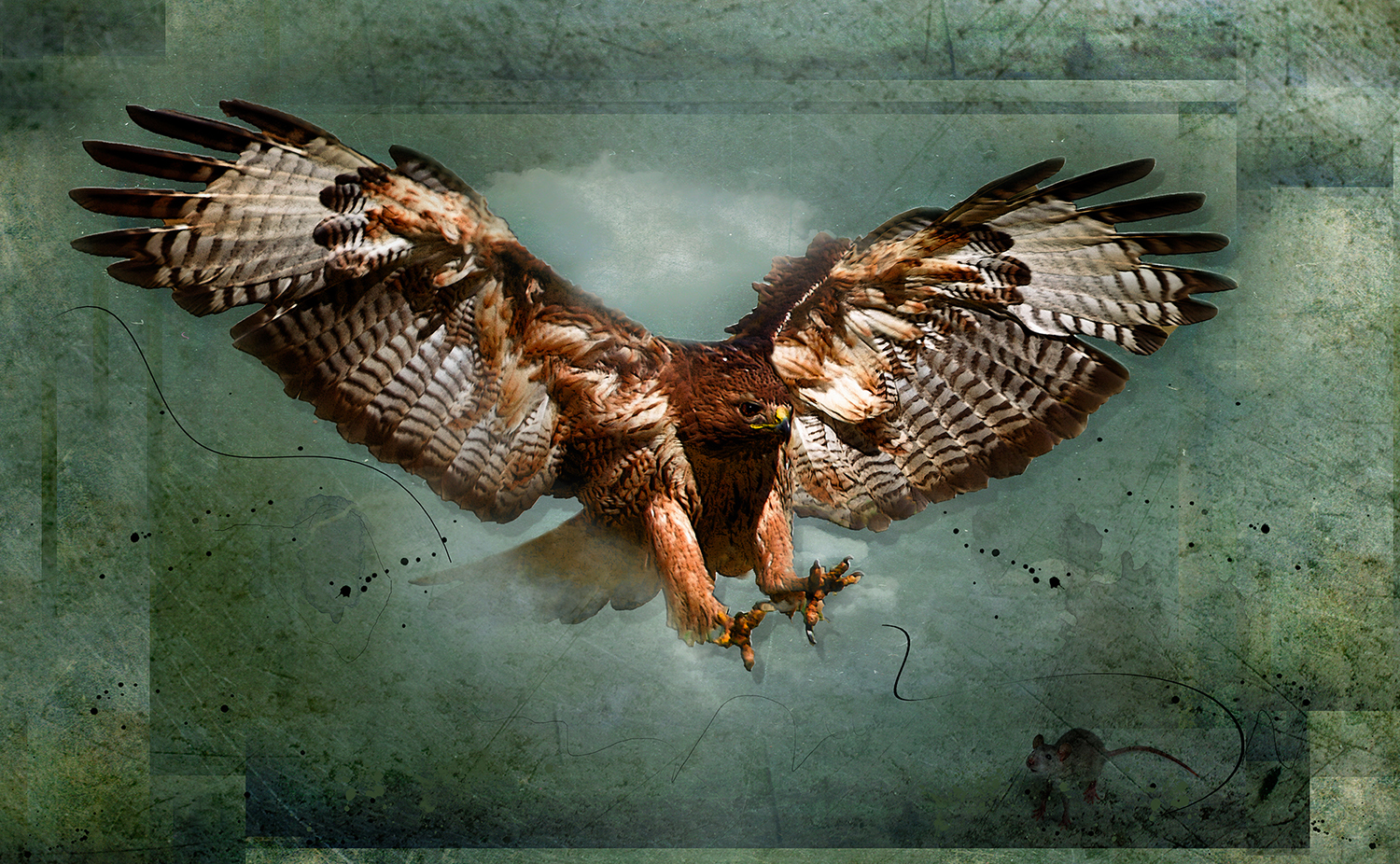 Redtail Attack