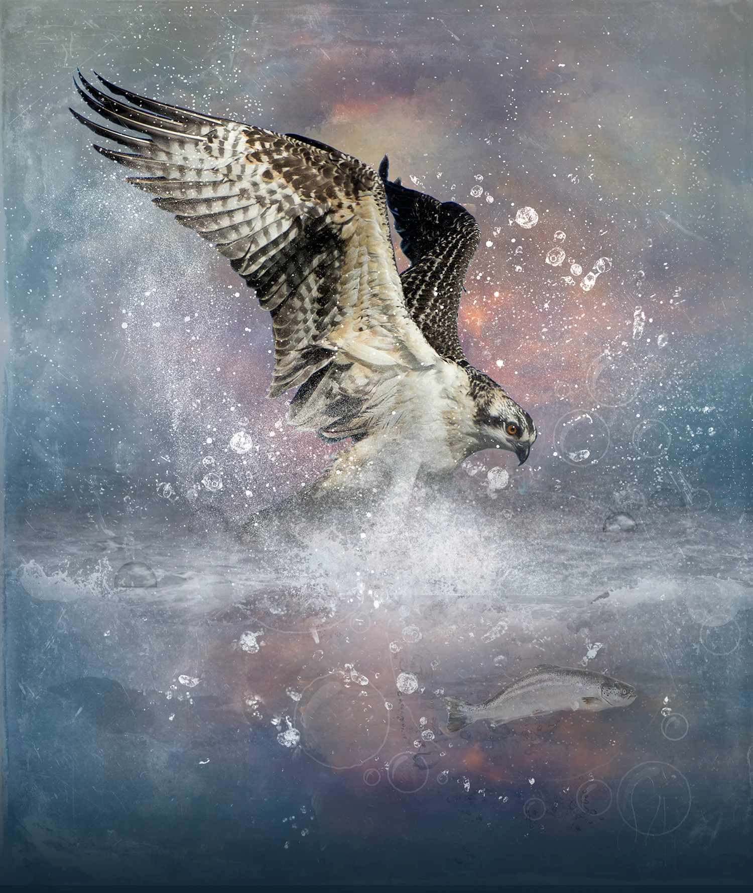 The Dive