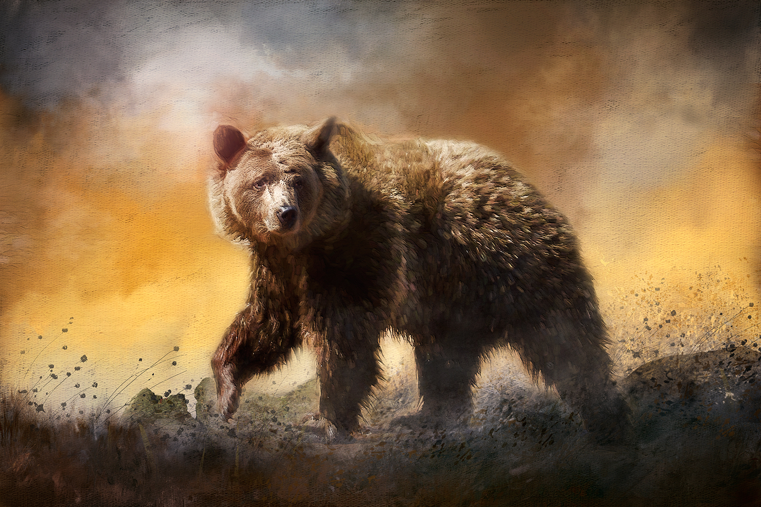 Grizzly Portrait