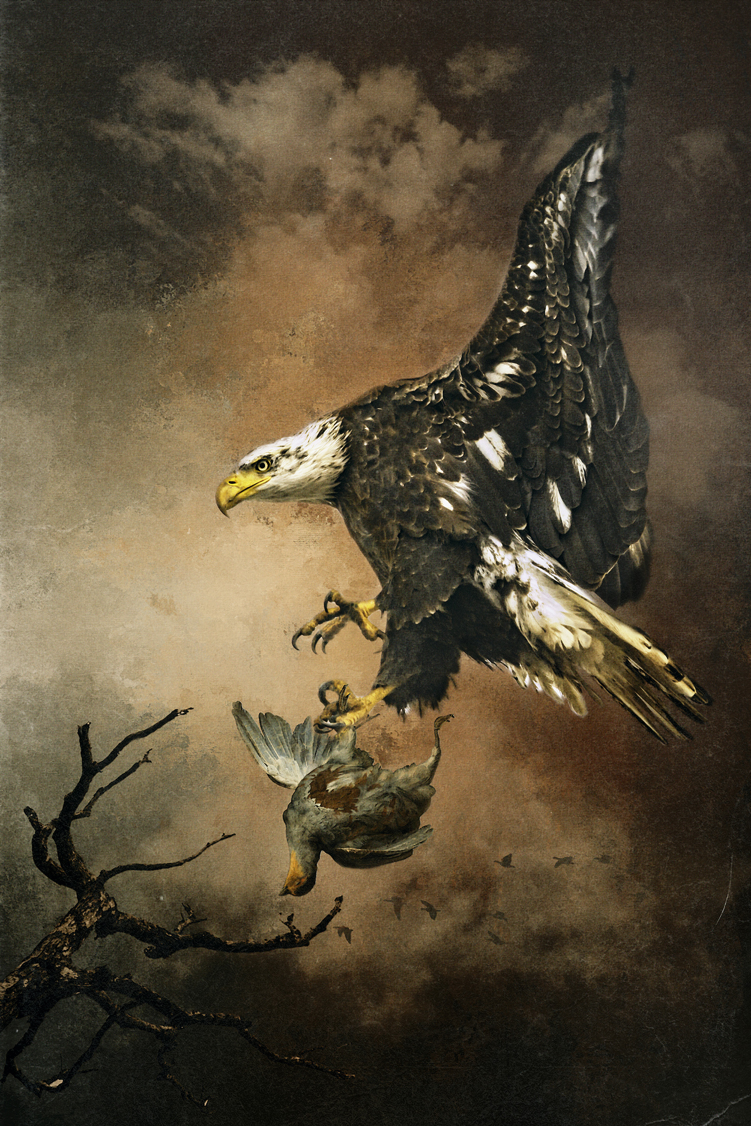 Eagle with Prey