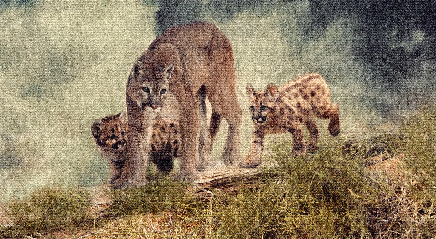 Walking the Ridge