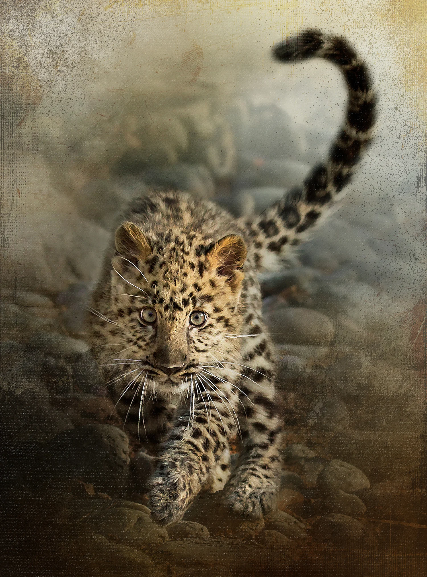 Amur Leopard